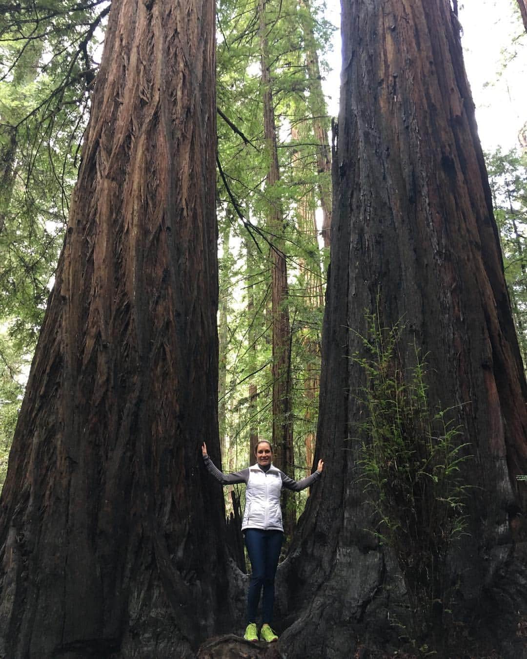 アレハンドラ・ジャネサのインスタグラム：「Happy #Earthday!! 😃🌲🌳I love being out in Nature, it’s my favorite way of recharging and reconnecting 🙏. These are from my recent trip to Northern California ✨💚 #armstrongwoods #norcal #redwoods #walkedbarefoot #andwascalledahippie #thatswheniknewimadeit 😂😁🙌 #🤓 #tb」