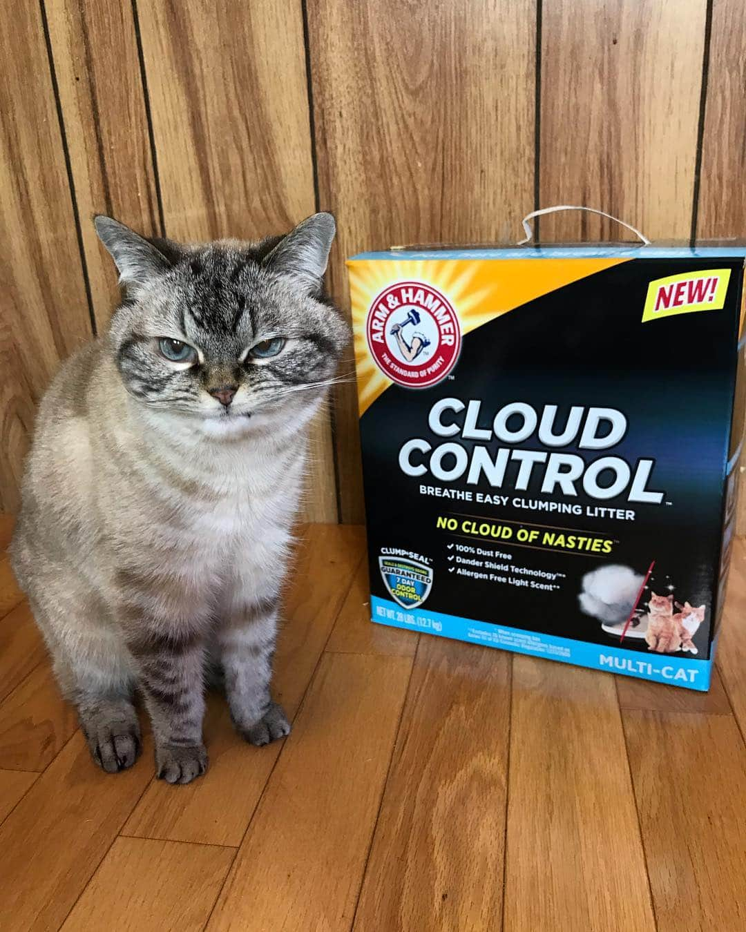 Lokiさんのインスタグラム写真 - (LokiInstagram)「As fierce as Loki may appear, she’s a very sensitive kitty. We were both on cloud nine when ARM & HAMMER™ launched their new product ARM & HAMMER™ Cloud Control™ Clumping Cat Litter. #ad What happens in the litter box, should stay in the litter box. NEW ARM & HAMMER™ Cloud Control™ Clumping Litter reduces airborne dander and other nasties when you scoop. It has a hypoallergenic light scent and is 100% dust-free so both Loki and I can breathe easy. Try ARM & HAMMER™ Cloud Control™ today, available at your local Walmart store, or using Walmart’s Online Grocery Pickup service  Visit cloudcontrolwalmart.com to take a fun quiz, automatically add Cloud Control to your Walmart Online Grocery Pick up cart and find money-saving Ibotta rebates for up to $2.00 off your purchase of ARM & HAMMER™ Cloud Control™! Plus, enter for a chance to win a $250 Walmart Gift Card! @armandhammercat」4月23日 0時47分 - loki_kitteh