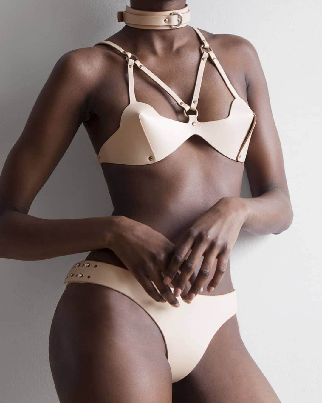 フリートイリヤさんのインスタグラム写真 - (フリートイリヤInstagram)「The Nude Edit - Web Bra, Wing Collar & Cut Out Knickers / Link in bio ^ #Harness #lingerie」4月23日 1時01分 - fleetilya