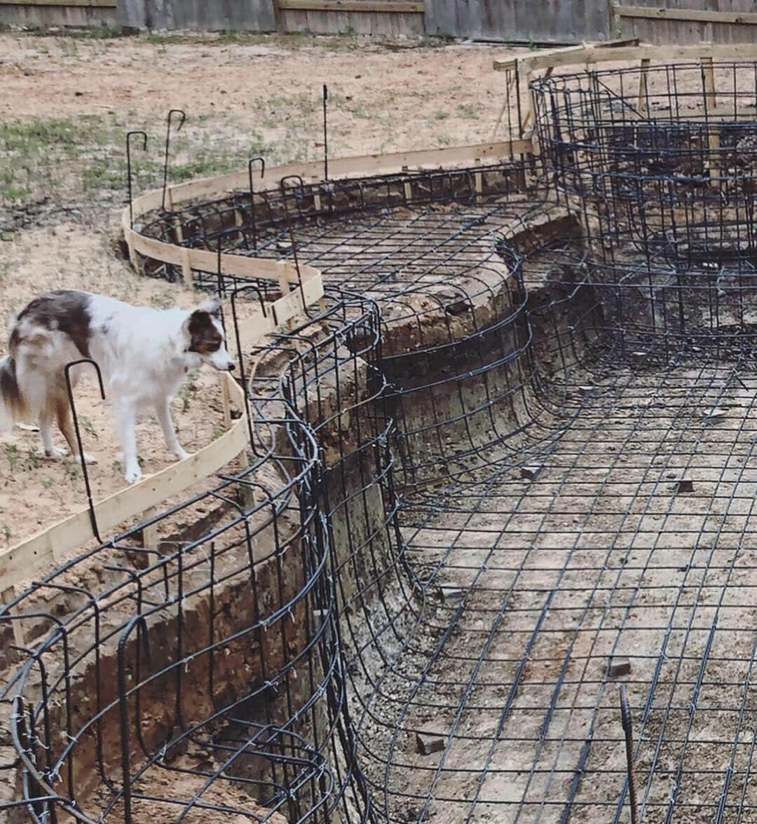 Jazzy Cooper Fostersさんのインスタグラム写真 - (Jazzy Cooper FostersInstagram)「We are building a pool so that BB can learn to swim 😁🐬 Maybe she’ll even let us humans use it too 🥳💦 #BBcolors」4月23日 1時01分 - bordernerd