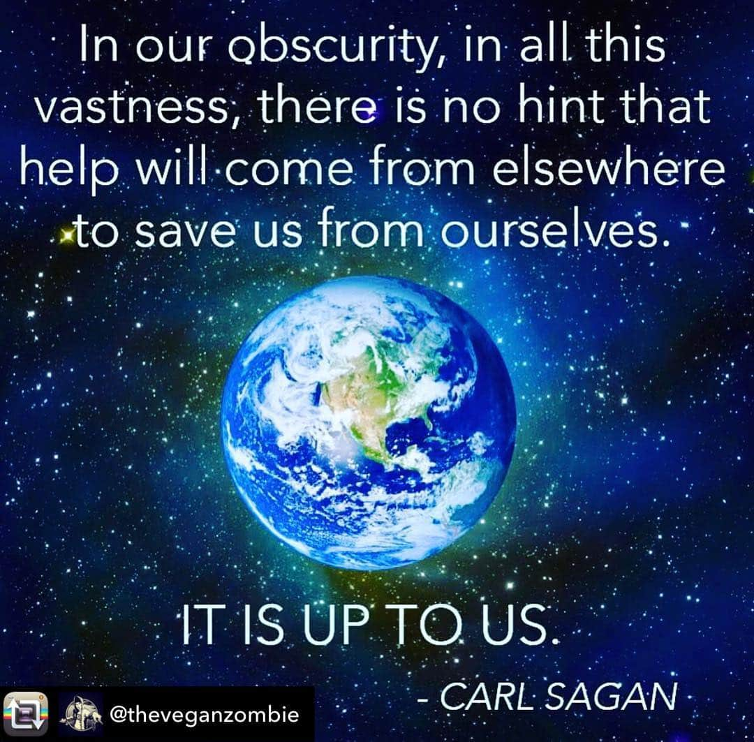 アンバー・ヴァレッタさんのインスタグラム写真 - (アンバー・ヴァレッタInstagram)「My favorite piece of writing about our world and our humanity. I wish we could all see our smallness and connectedness from out in the cosmos. Perhaps it would help us to view our lives and planet differently. We are so miraculous and yet just part of a greater sum. Carl Sagan said it perfectly. “That's here. That's home. That's us. On it everyone you love, everyone you know, everyone you ever heard of, every human being who ever was, lived out their lives... There is perhaps no better demonstration of the folly of human conceits than this distant image of our tiny world. To me, it underscores our responsibility to deal more kindly with one another, and to preserve and cherish the pale blue dot, the only home we've ever known.” ~Carl Sagan ✨Please read Pale Blue Dot in it’s entirety, it will rock you! 💚🌎🌍🌏 Happy Earth Day, today and everyday! #earthday」4月23日 1時05分 - ambervalletta