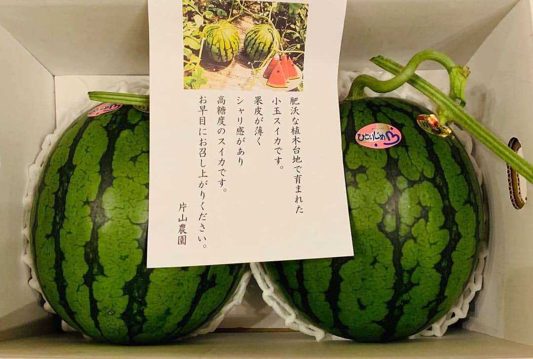 小林麻耶さんのインスタグラム写真 - (小林麻耶Instagram)「熊本の義祖父母からスイカ🍉が届きました✨この時期に🍉を食べられるなんて嬉しい🥰  #熊本 #小玉スイカ  #片山農園」4月23日 1時27分 - maya712star9