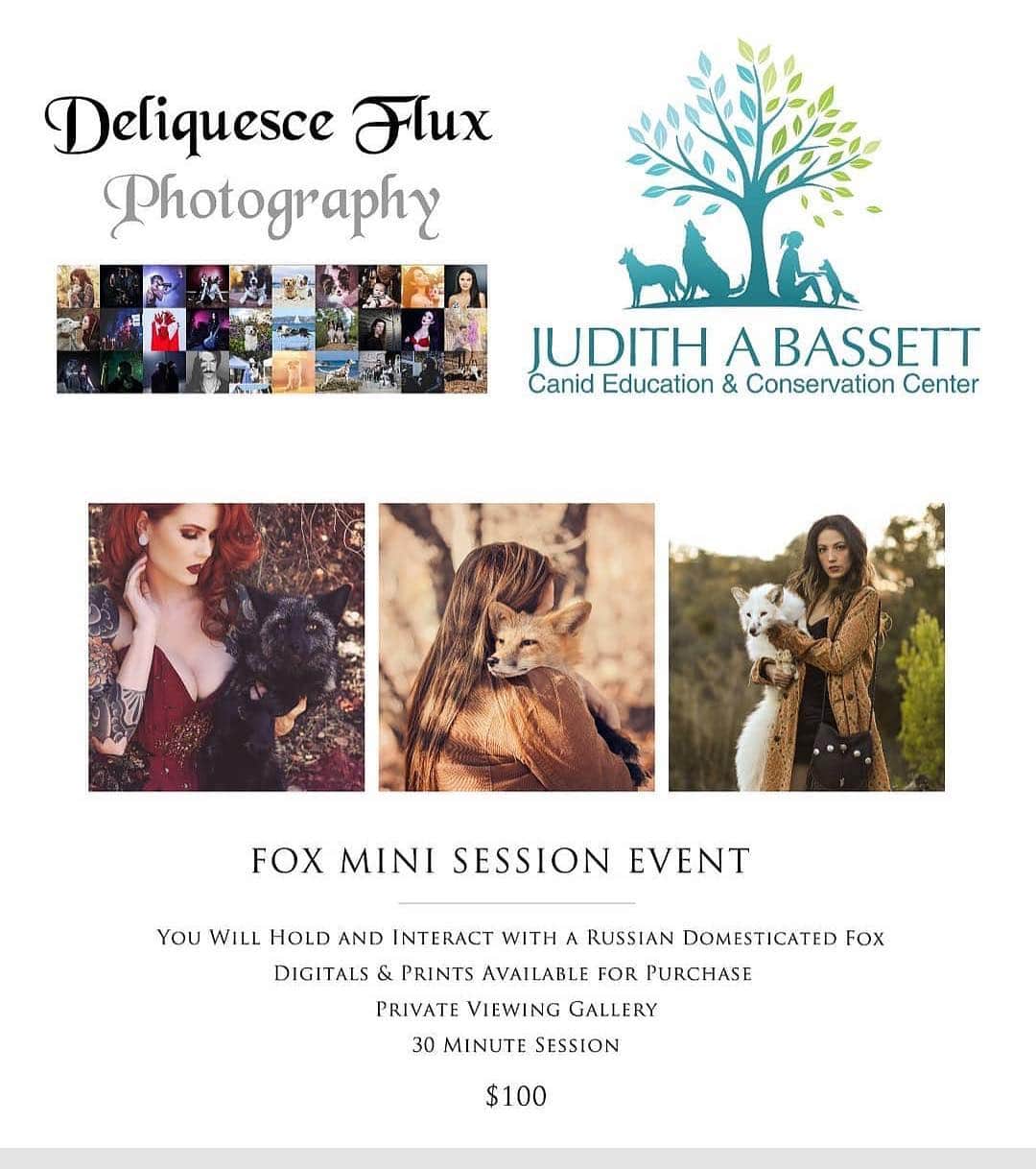 のインスタグラム：「UPDATE: Both May and July dates are SOLD OUT!!! Stay tuned for more sessions!! Once in a lifetime chance to book a photoshoot with the amazing @anabeldflux and our Russian domesticated foxes!!! The slots will fill fast!! . Posted @withrepost • @anabeldflux Missed out on last year's mini session event at the @jabcecc in Southern California?! Well, here is your chance to meet and be photographed with the Russian domesticated foxes! Maksa, Viktor, and Mikhail are excited to meet you!  Email me (Deliquesce-Flux@hotmail.com), use the contact form on my website (link in bio), or DM me for booking! First come, first serve, only 9 slots per date! • • • • #photographerlife #photoshoot #photosession #fox #foxes #foxesofinstagram #redfox #belyaev #minisessions #event #socal #animallovers #animalsofinstagram #jabcecc #conservation #education #photooftheday #ambassador #nonprofit #teamcanon #photography #dflux #dfluxphotography #deliquesceflux #deliquescefluxphotography」