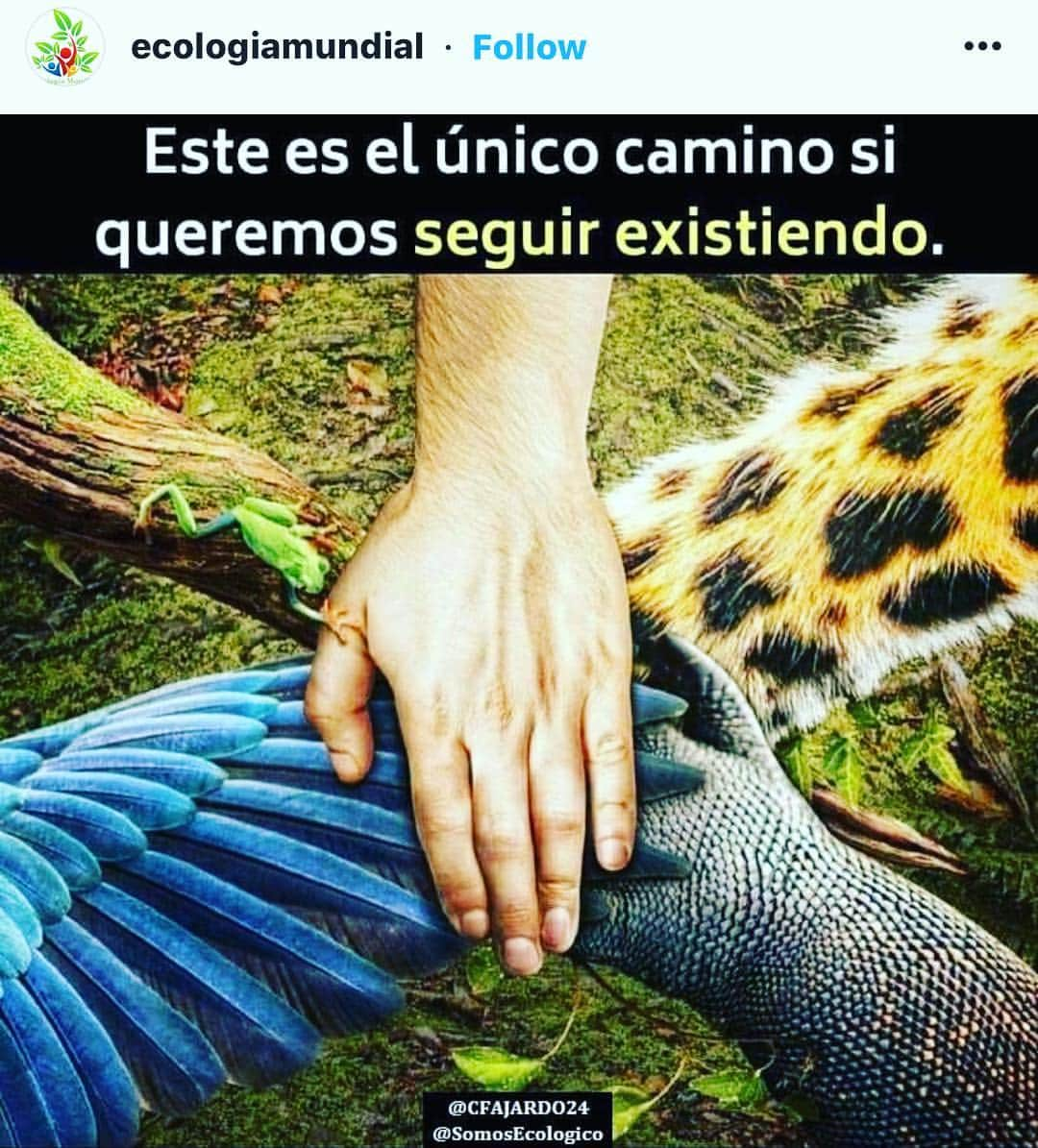 ジョーダン・ノルベルトさんのインスタグラム写真 - (ジョーダン・ノルベルトInstagram)「#haciendavistalinda #medioambiente #dominicanrepublic #life #vidasana #nagua #vidasilvestre #ecologia #mturismo」4月23日 1時35分 - jordannorberto