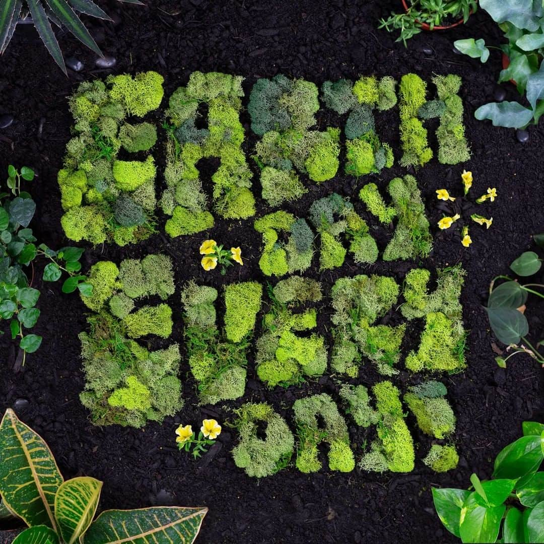 Wal-Mart Stores, Incさんのインスタグラム写真 - (Wal-Mart Stores, IncInstagram)「Think green. Not just today, but all year round. Because our planet means the world to us. 🌎💚 Learn more about our commitment and efforts with our #linkinbio. #earthday」4月23日 1時37分 - walmart