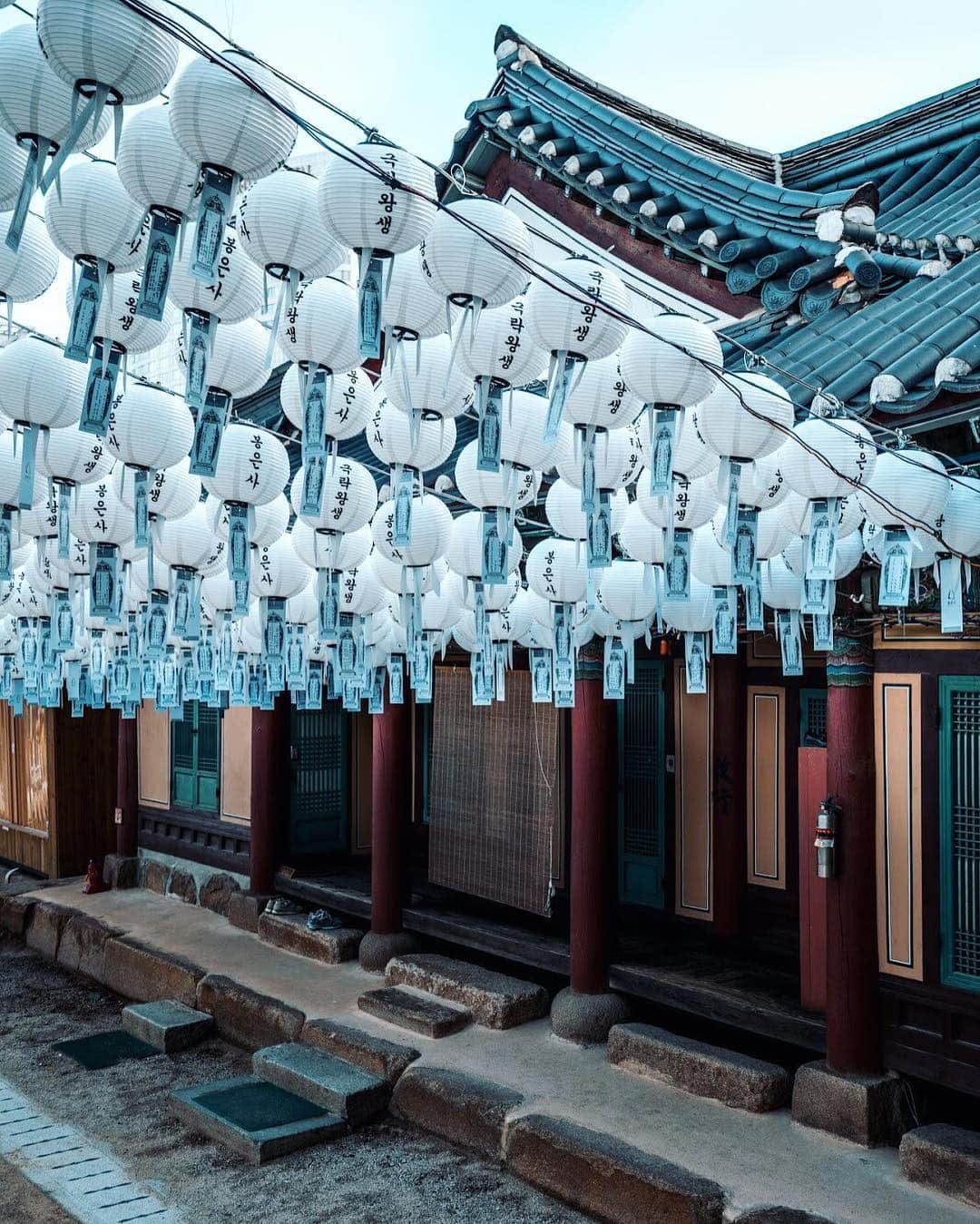 Rosetta Stoneさんのインスタグラム写真 - (Rosetta StoneInstagram)「Seoul, South Korea. These lanterns were the perfect backdrop for Alvaro’s latest #RosettaSessions 📷 @wanderreds . . . #seoul #southkorea #korea #lantern #korean #photography #learnlanguages #temple #learnkorean #practice #lessons」4月23日 2時07分 - rosettastone