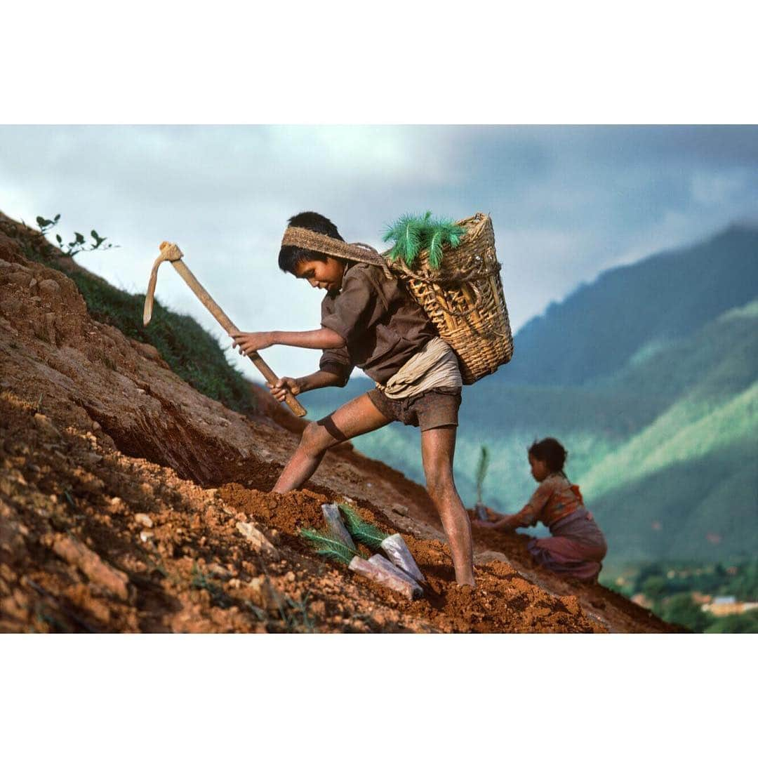 スティーブ・マカリーさんのインスタグラム写真 - (スティーブ・マカリーInstagram)「#EarthDay is a global event in which more than one billion people in 192 countries take part in the largest environmental movement in the world. People march, sign petitions, meet with their elected officials, plant trees, clean up their towns and roads. Corporations and governments use it to make pledges and announce sustainability measures. Faith leaders, including Pope Francis, connect Earth Day with protecting God’s greatest creations, humans, biodiversity and the planet that we all live on.  1st image: #Niger, 1986.  2nd image: #Nepal, 1983.  3rd image: #Nepal, 1983.」4月23日 2時03分 - stevemccurryofficial