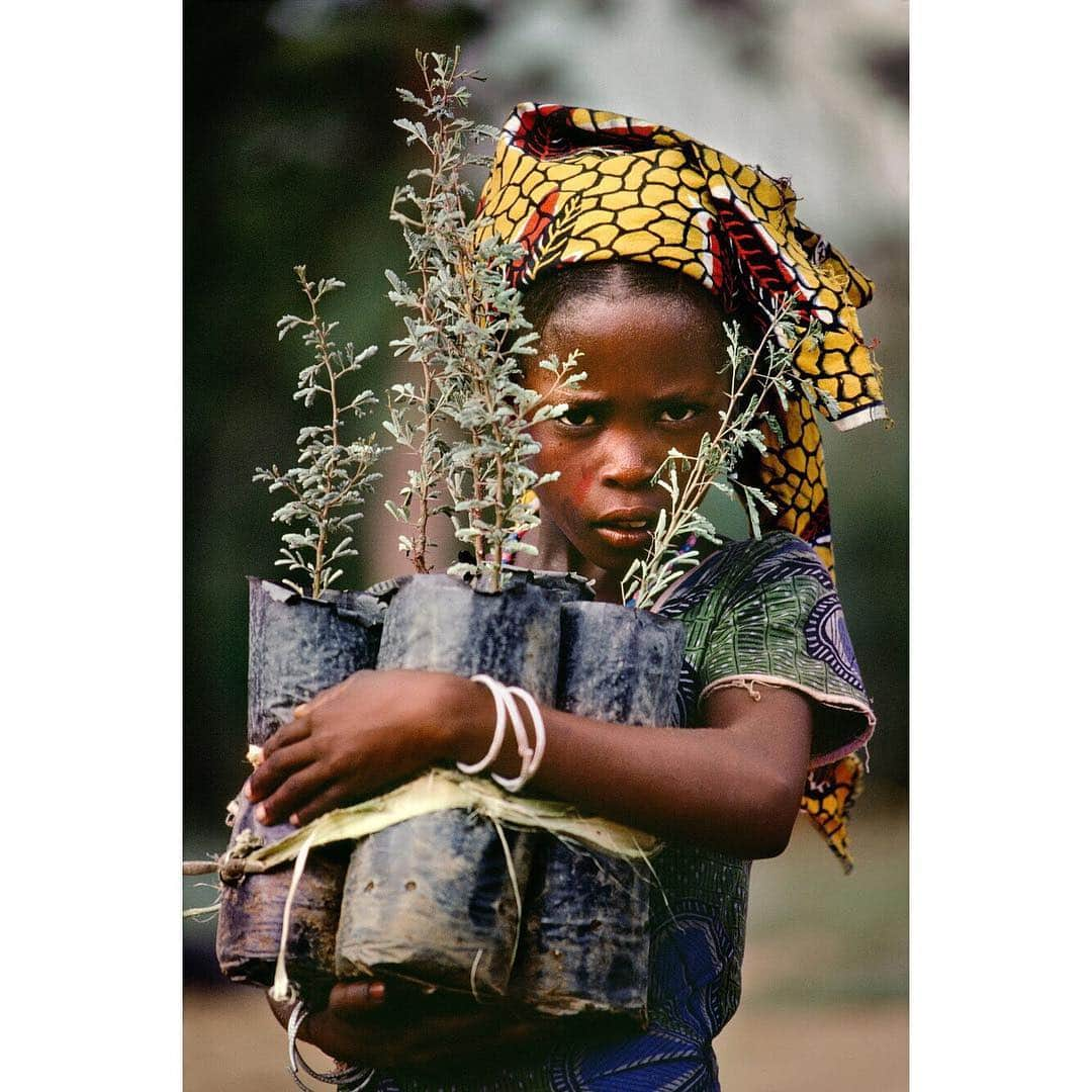 スティーブ・マカリーさんのインスタグラム写真 - (スティーブ・マカリーInstagram)「#EarthDay is a global event in which more than one billion people in 192 countries take part in the largest environmental movement in the world. People march, sign petitions, meet with their elected officials, plant trees, clean up their towns and roads. Corporations and governments use it to make pledges and announce sustainability measures. Faith leaders, including Pope Francis, connect Earth Day with protecting God’s greatest creations, humans, biodiversity and the planet that we all live on.  1st image: #Niger, 1986.  2nd image: #Nepal, 1983.  3rd image: #Nepal, 1983.」4月23日 2時03分 - stevemccurryofficial