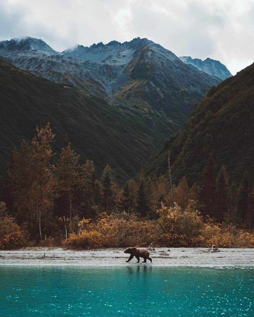 Kyle Kuiperのインスタグラム：「🐻🏔 Happy Earth Day.」