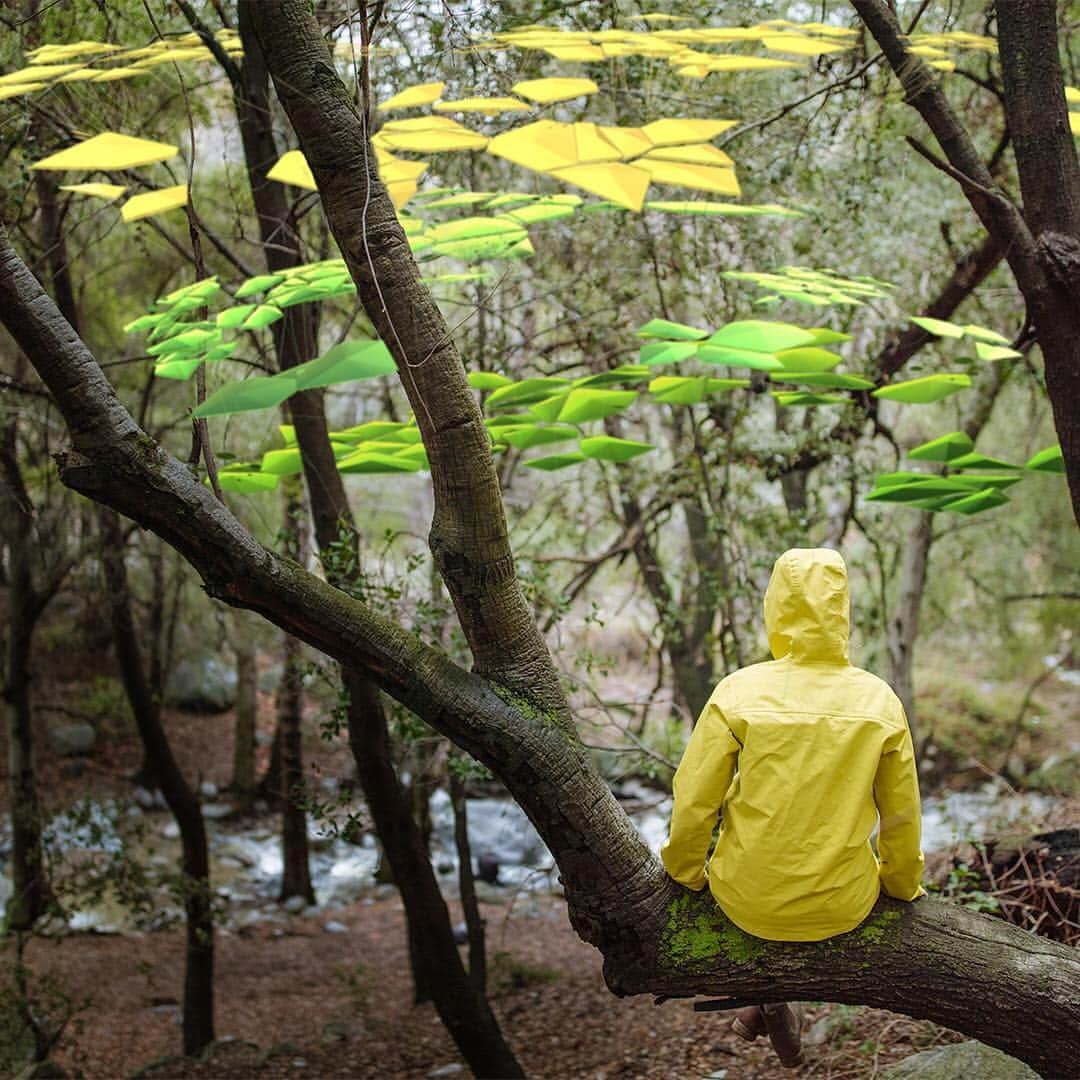 Microsoftさんのインスタグラム写真 - (MicrosoftInstagram)「Now we can see our forests like never before, with the power of #MicrosoftAI. Join us to help @nature_org improve the forest population. #treepotentialproject」4月23日 2時18分 - microsoft