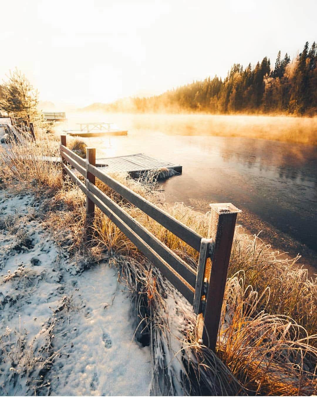 フィンランド政府観光局さんのインスタグラム写真 - (フィンランド政府観光局Instagram)「金色の朝。 ． @niiloi さんの写真。Kiitos！」4月23日 3時23分 - visitfinlandjapan
