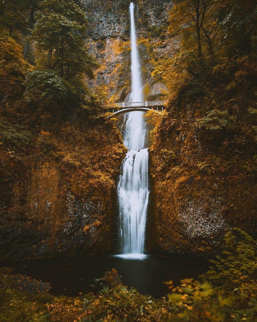 instagoodさんのインスタグラム写真 - (instagoodInstagram)「@kevinaantonio Oregon’s one of those places where I can spend weeks at. 4 days was definitely not enough. I couldn’t get enough of this place. The beautiful scenery & friendly people, I fell in love with this state. If you ever visit Oregon, make sure Multnomah Falls is one of your stops. @kevinaantonio」4月23日 4時00分 - instagood