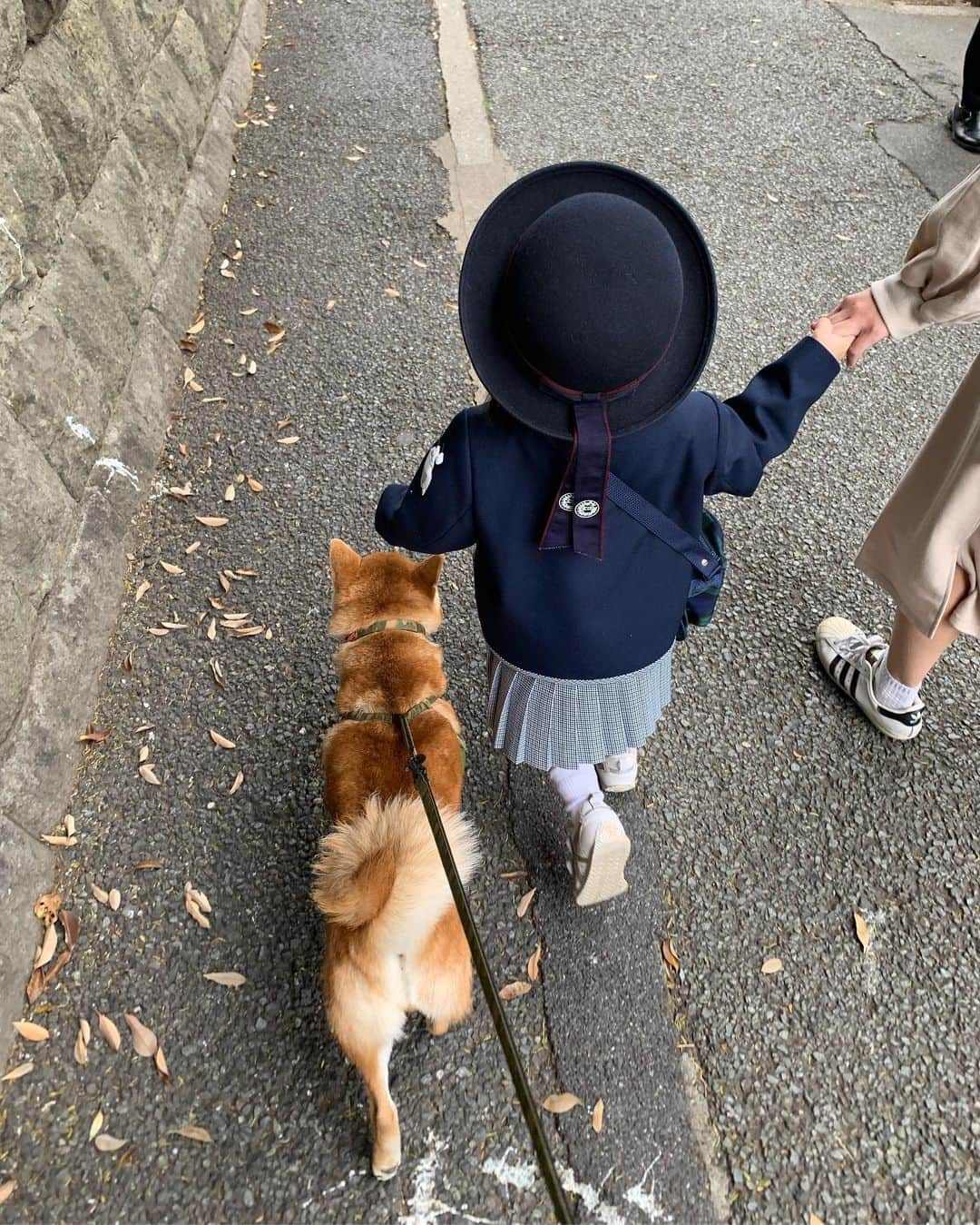 大山加奈さんのインスタグラム写真 - (大山加奈Instagram)「. . 幼稚園に通いはじめたばかりの さぶちゃんちのここちゃんを 一緒に幼稚園までお見送り🌸 . . 初日から泣かずに 楽しく幼稚園に 通っているここちゃん。 頼もしい‼︎ . . かわいいなぁ☺️💓 . . #だいず #だいず🐕💓 #豆柴 #豆柴部  #柴犬 #しばいぬ  #犬のいる暮らし#🐶 #🐕#いぬすたぐらむ #ワンスタグラム #しばすたぐらむ #mameshiba#shibainu#shibastagram」4月23日 9時30分 - kanaoyama0619