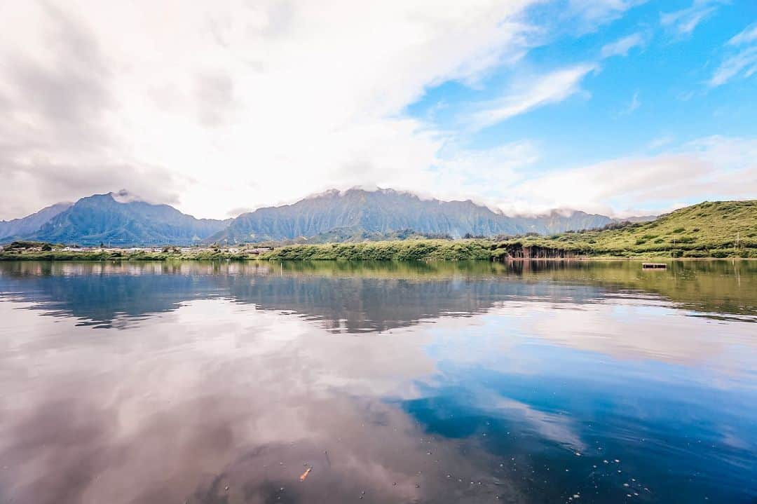 ハワイアン航空さんのインスタグラム写真 - (ハワイアン航空Instagram)「At Hawaiian Airlines, we strive to celebrate #EarthDay year round by finding opportunities to "mālama ka ‘āina," or care for the land. Our employee volunteer program, #TeamKokua, can often be found in their purple shirts, clearing invasive species (like in the photos above) or cleaning up beaches — truly living out the name "kōkua," which means to help. We are honored to be ambassadors of our islands, and share a strong sense of kuleana (responsibility) to take care of our land from mauka (mountains) to makai (the ocean), while helping to preserve our island culture and way of life. 🌺 #PualaniProud」4月23日 4時12分 - hawaiianairlines