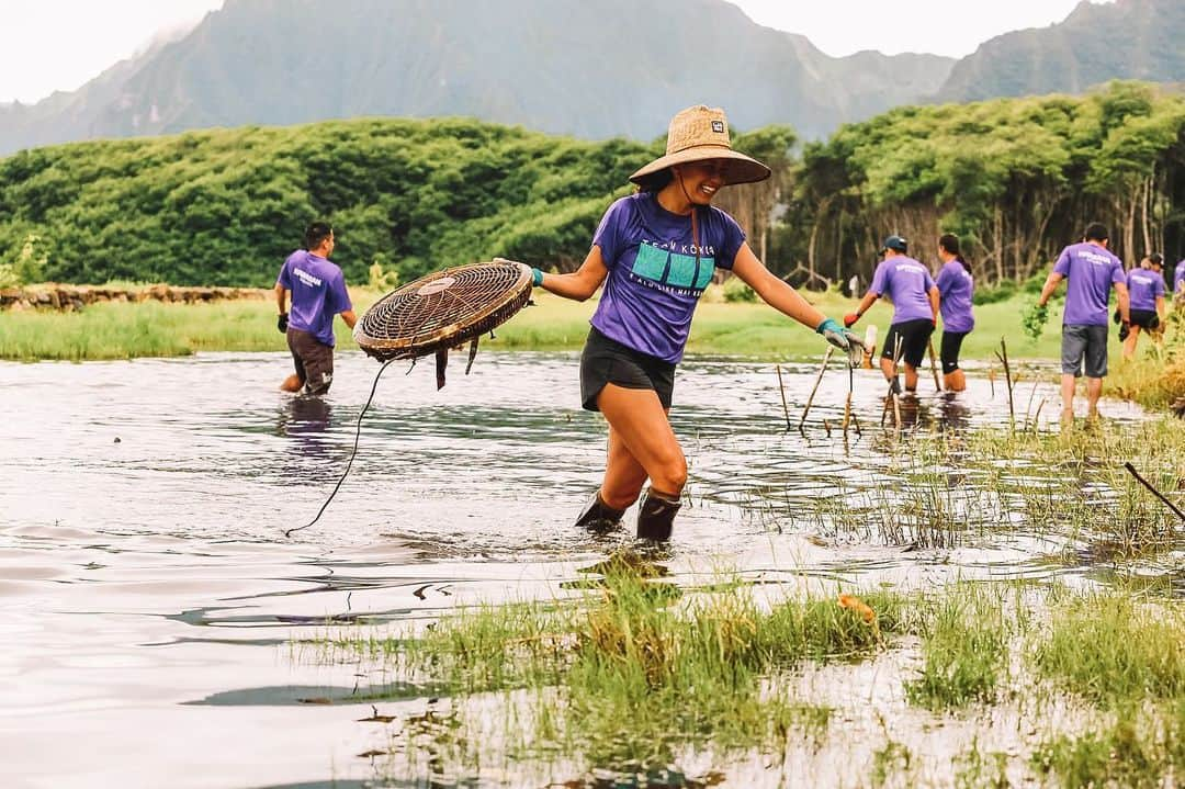 ハワイアン航空さんのインスタグラム写真 - (ハワイアン航空Instagram)「At Hawaiian Airlines, we strive to celebrate #EarthDay year round by finding opportunities to "mālama ka ‘āina," or care for the land. Our employee volunteer program, #TeamKokua, can often be found in their purple shirts, clearing invasive species (like in the photos above) or cleaning up beaches — truly living out the name "kōkua," which means to help. We are honored to be ambassadors of our islands, and share a strong sense of kuleana (responsibility) to take care of our land from mauka (mountains) to makai (the ocean), while helping to preserve our island culture and way of life. 🌺 #PualaniProud」4月23日 4時12分 - hawaiianairlines