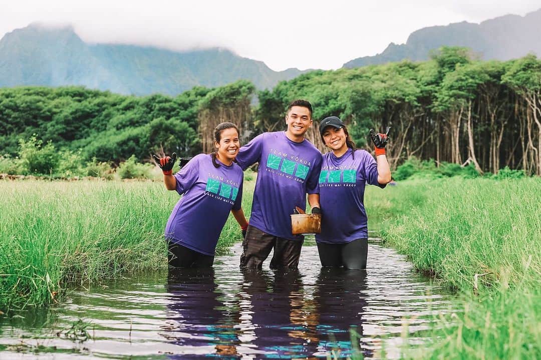 ハワイアン航空さんのインスタグラム写真 - (ハワイアン航空Instagram)「At Hawaiian Airlines, we strive to celebrate #EarthDay year round by finding opportunities to "mālama ka ‘āina," or care for the land. Our employee volunteer program, #TeamKokua, can often be found in their purple shirts, clearing invasive species (like in the photos above) or cleaning up beaches — truly living out the name "kōkua," which means to help. We are honored to be ambassadors of our islands, and share a strong sense of kuleana (responsibility) to take care of our land from mauka (mountains) to makai (the ocean), while helping to preserve our island culture and way of life. 🌺 #PualaniProud」4月23日 4時12分 - hawaiianairlines