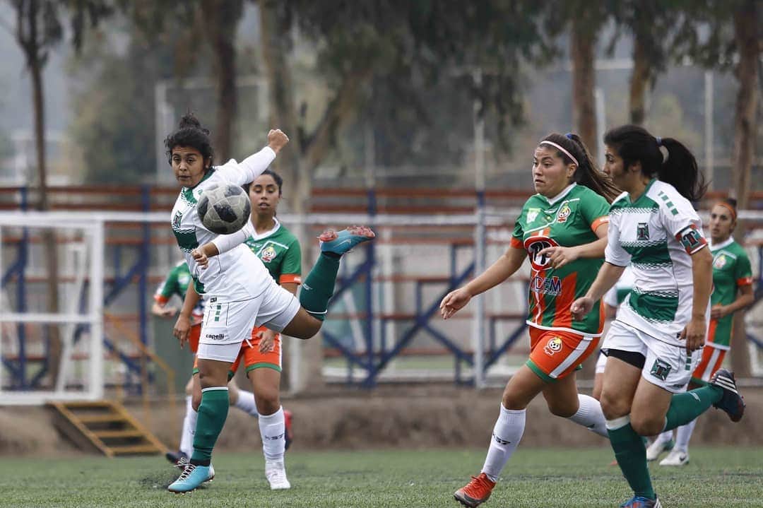 サッカー チリ代表チームさんのインスタグラム写真 - (サッカー チリ代表チームInstagram)「Revisa lo mejor del triunfo de @deportes_temuco_oficial ante @cobresaloficial en el complejo Amador Donoso por la serie Adulta de la #PrimeraDivisionFemenina🏆 📸Fotografías: Carlos Vera / Comunicaciones ANFP」4月23日 4時31分 - campeonatochi