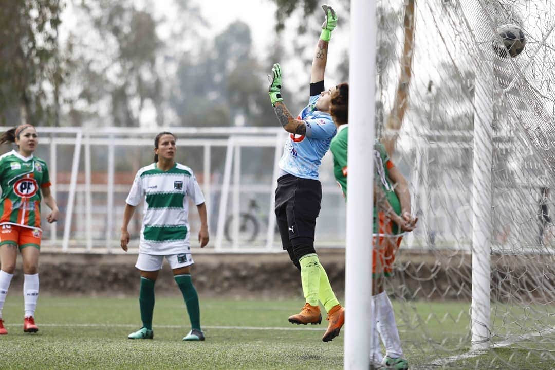サッカー チリ代表チームさんのインスタグラム写真 - (サッカー チリ代表チームInstagram)「Revisa lo mejor del triunfo de @deportes_temuco_oficial ante @cobresaloficial en el complejo Amador Donoso por la serie Adulta de la #PrimeraDivisionFemenina🏆 📸Fotografías: Carlos Vera / Comunicaciones ANFP」4月23日 4時31分 - campeonatochi