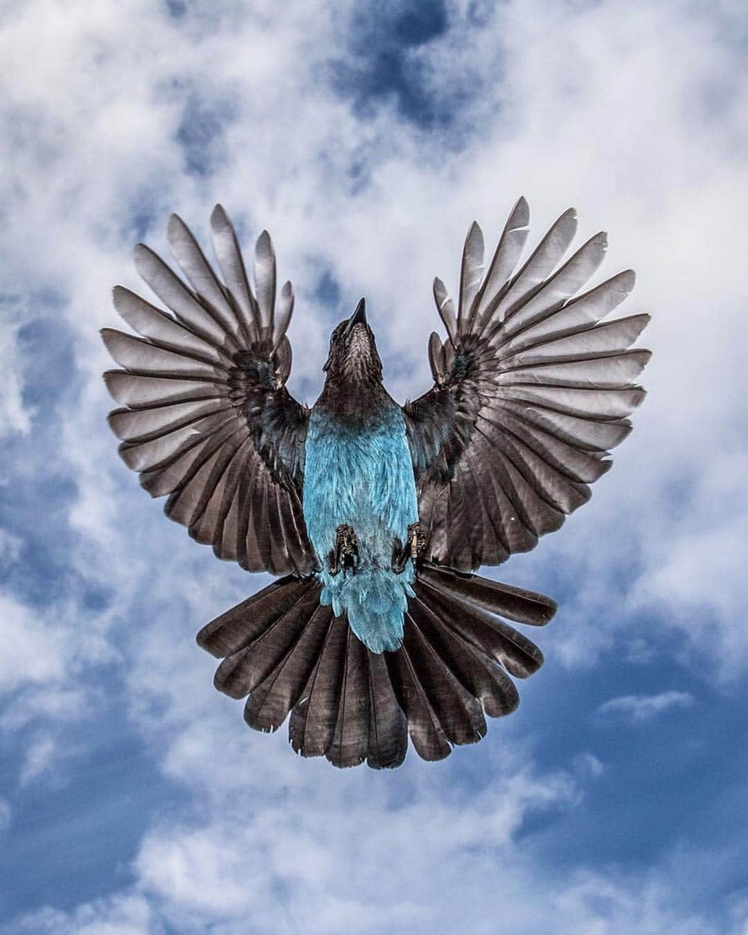 Instagramさんのインスタグラム写真 - (InstagramInstagram)「Happy #EarthDay! Today we’re celebrating with Liron Gertsman (@liron_gertsman_photography), an 18-year-old nature photographer who hopes his photos help educate people about the environment. 📸 🏔 “I hope that people see my photos and come away with a new sense of love, respect and desire to protect the incredible natural world,” says Liron, who studies at the University of British Columbia. In 2018, his photos of the Amazon rainforest in Ecuador earned him praise at the Audubon Photography Awards and London’s Natural History Museum’s Wildlife Photographer of the Year competition. Beyond the awards, the experience helped him realize the power of the lens. “Those photos were seen by people in museums around the world which taught me the power of photography as a tool for education and conservation,” he says. Today on our story, Liron takes us on a photo hike. Photo by @liron_gertsman_photography」4月23日 4時43分 - instagram