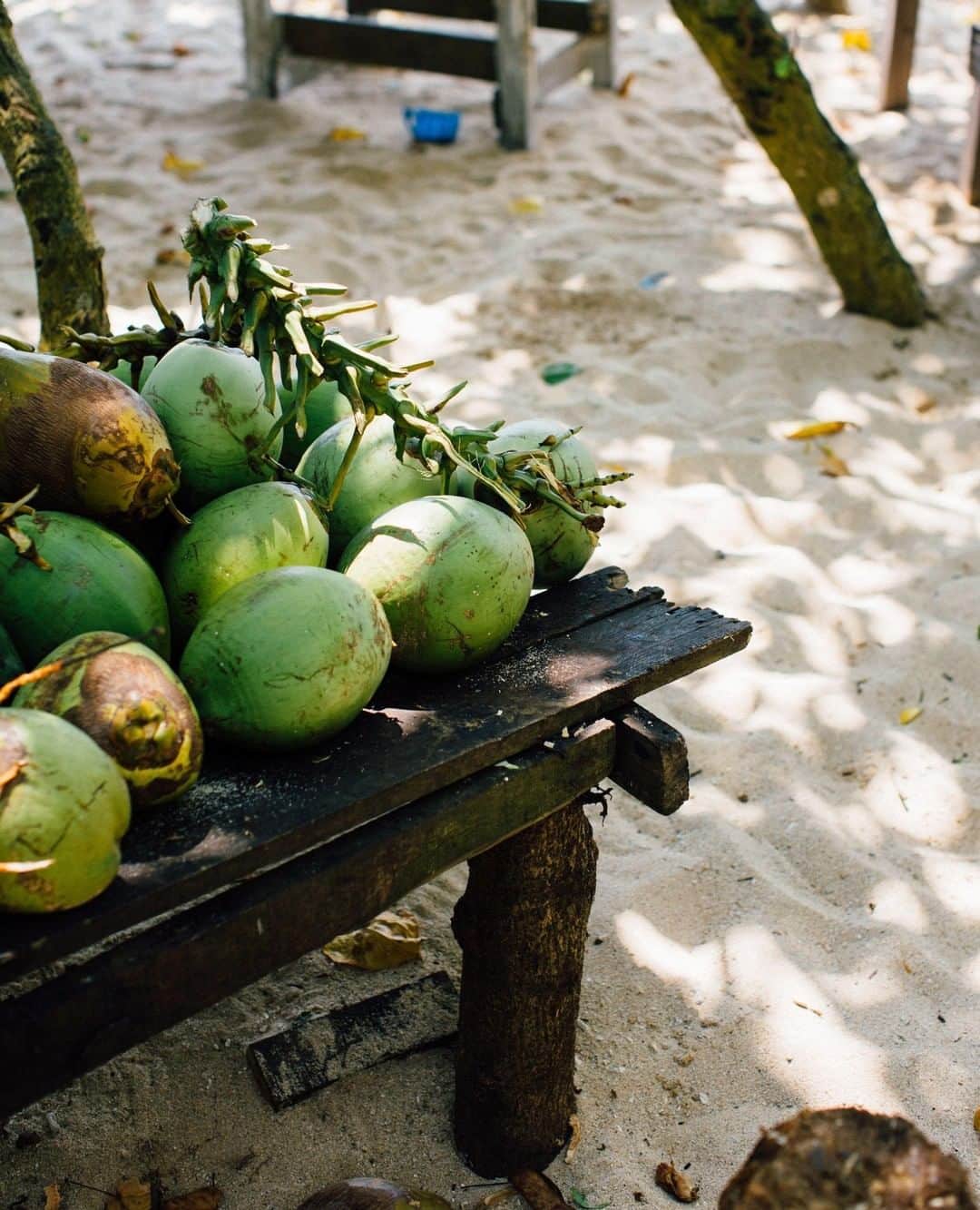 Vita Coco Coconut Waterのインスタグラム：「Let's love the earth, because without it, we wouldn't have coconuts, we wouldn't have coconut water, and I wouldn't have this job. So let's love it with everything we've got. #EarthDay」