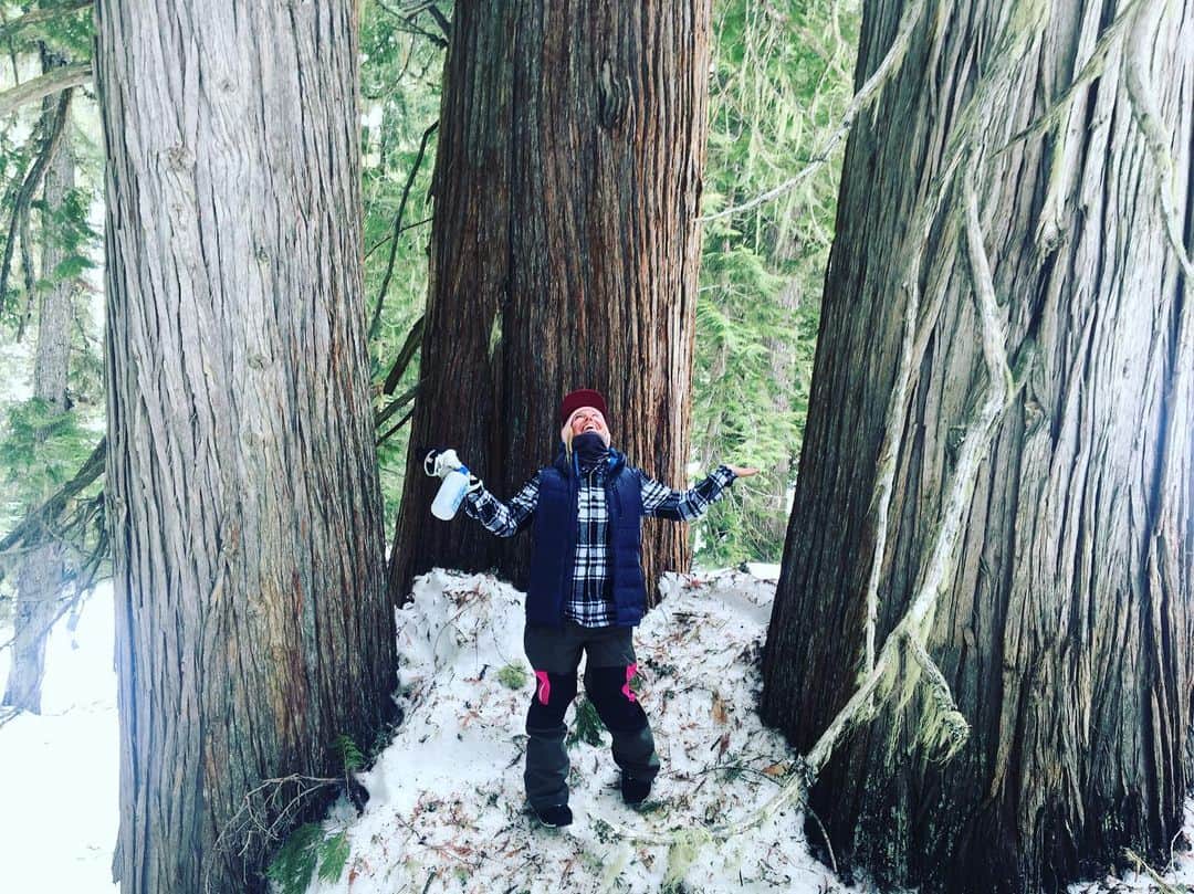 ジェイミー・アンダーソンのインスタグラム：「Happy Earth day! These are some giant triplet trees I was hanging with at @baldfacelodge ... They had some good energy! What’s your favorite thing on earth? 💙 🌏 🙌 🌲 ✨ #earthday #namaste #grateful #jaunconditional」