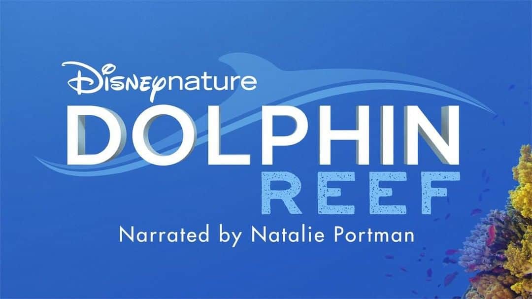 Disneyさんのインスタグラム写真 - (DisneyInstagram)「@Disneynature’s all-new feature film #DolphinReef, narrated by Natalie Portman, is swimming ashore. Dive in when the film debuts on #DisneyPlus!」4月23日 6時16分 - disney