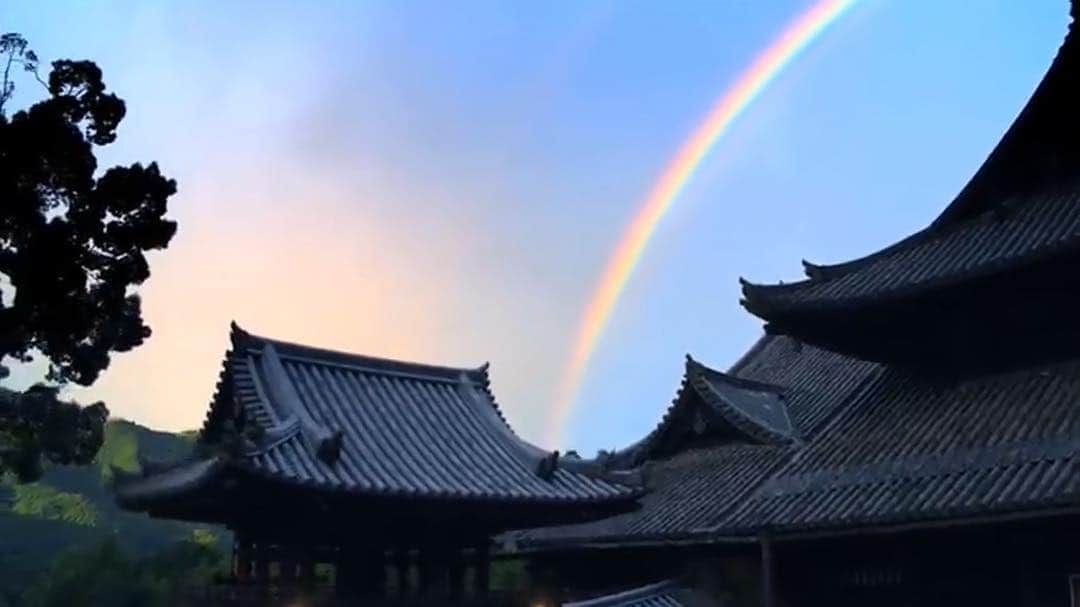 奈良 長谷寺 / nara hasederaのグルメインスタ
