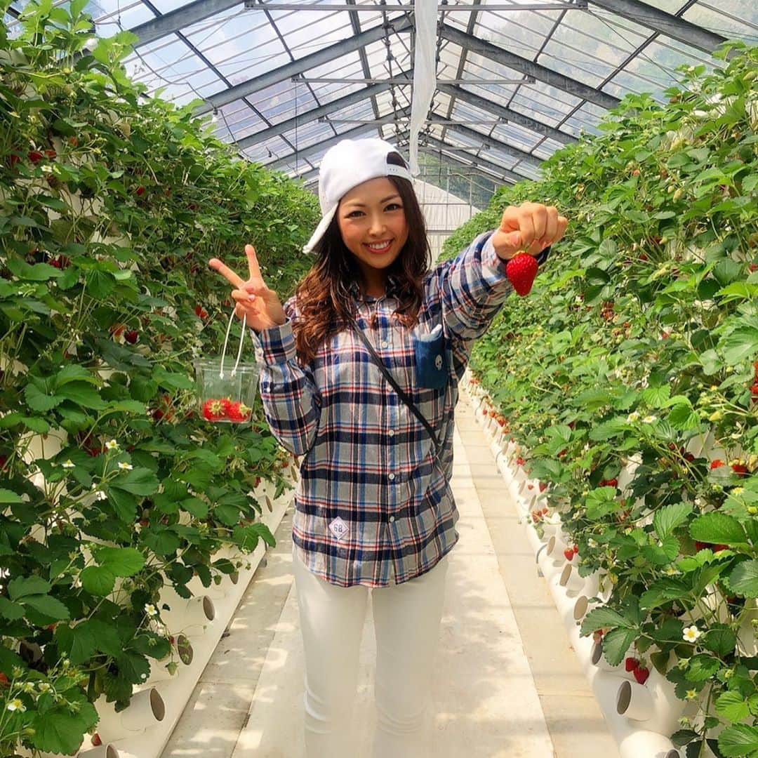 あおい夏海のグルメインスタ