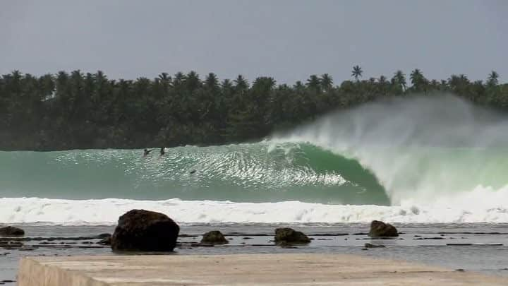 surflineのインスタグラム