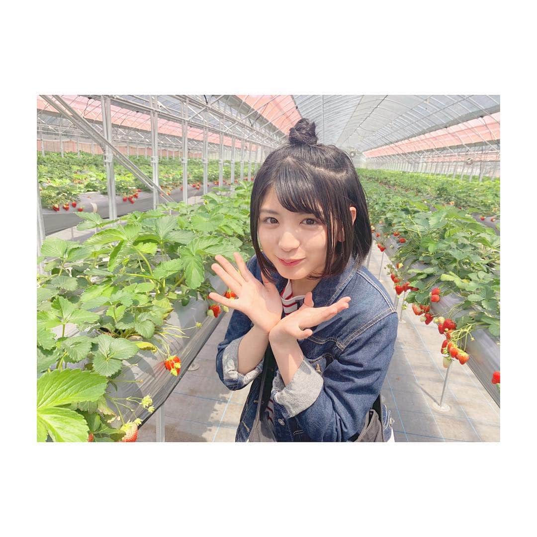 坂元葉月さんのインスタグラム写真 - (坂元葉月Instagram)「ぱあ。」4月23日 17時17分 - wasuta_hazuki_sakamoto