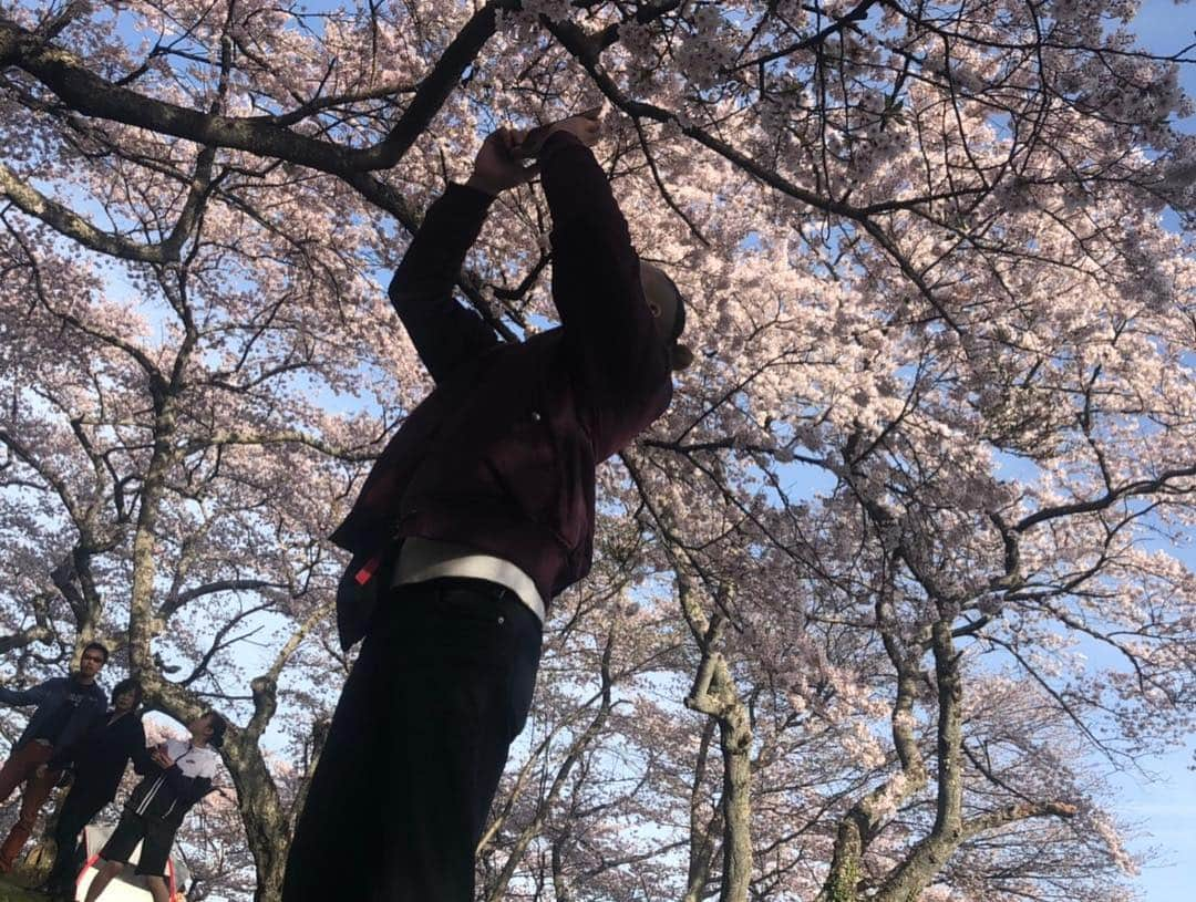 長澤青空さんのインスタグラム写真 - (長澤青空Instagram)「花見🌸 #花見 #桜 #利府 #綺麗 #利府城の勉強を欠かさない #インスタ映えに必死 #6sじゃ画質負け #加工はしないスタイル」4月23日 17時13分 - foifoi3