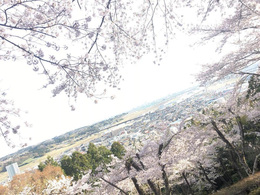 長澤青空のインスタグラム：「花見🌸 #花見 #桜 #利府 #綺麗 #利府城の勉強を欠かさない #インスタ映えに必死 #6sじゃ画質負け #加工はしないスタイル」