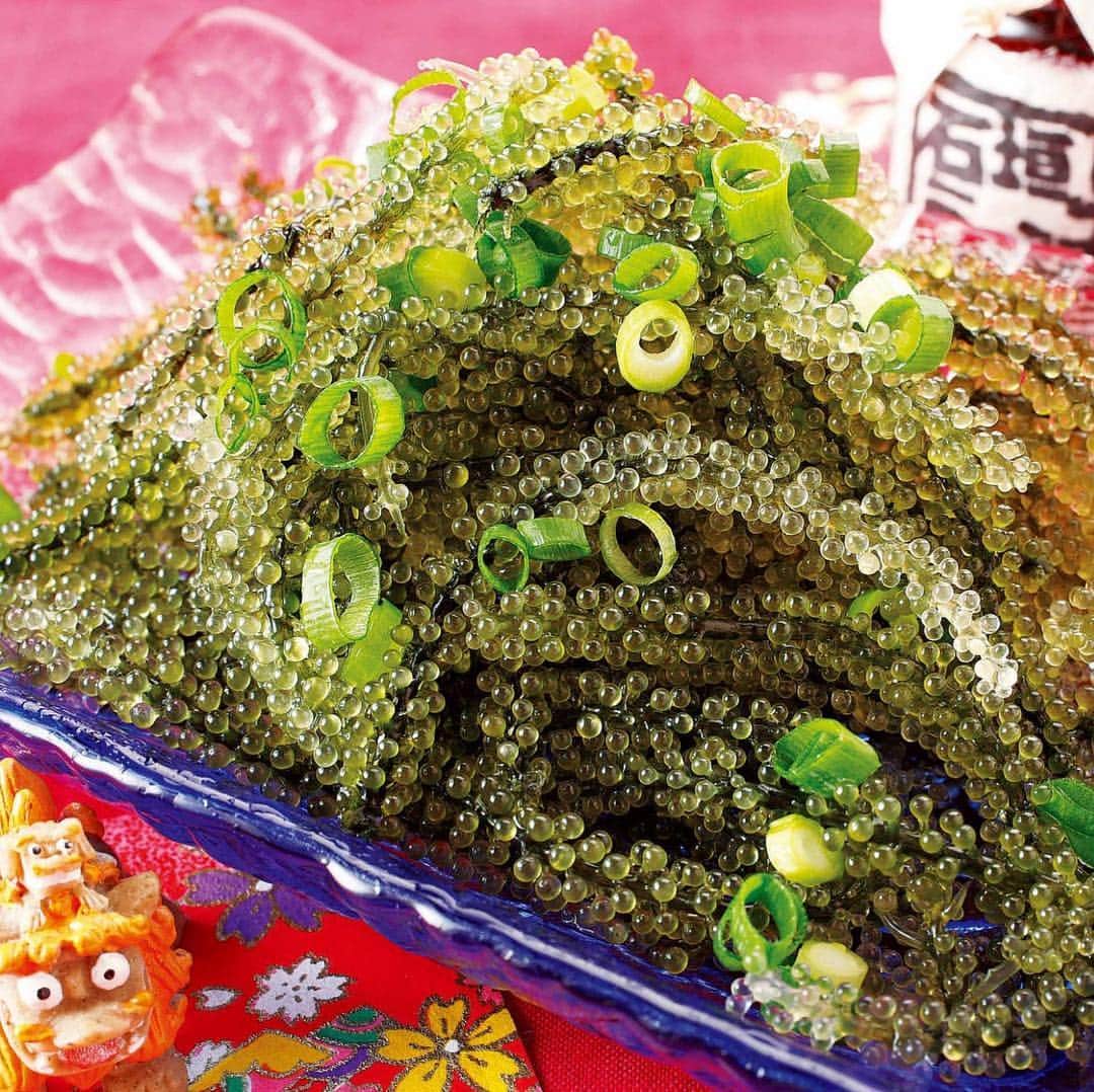 ナッセ熊本 編集部 のグルメインスタ