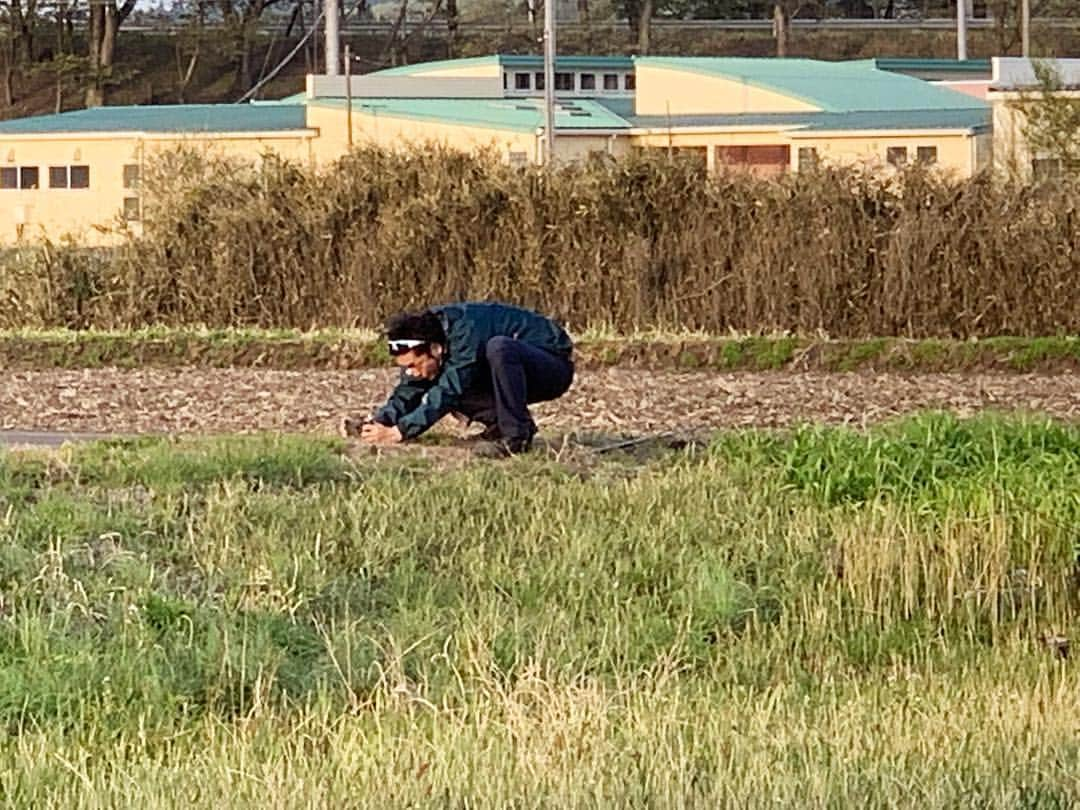 井浦新さんのインスタグラム写真 - (井浦新Instagram)「つくし激写中を 激写された」4月23日 18時26分 - el_arata_nest