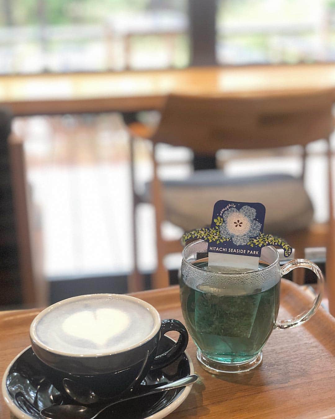 岩根沙恵子?さえみるさんのインスタグラム写真 - (岩根沙恵子?さえみるInstagram)「📱 先日の「はとバスツアー」🐤💓 いちご狩りの前に日立海浜公園へ🌼🍀♪ . レストランのバタフライピー&バナナラテも美味しくて長居しちゃったなあ🥺💓💓💓ラテアートもかわいいよね🥺！ しかもね！気づいた？ 「ネモフィラブルー」なの💠👏 インスタ映えっ🥰❤️ (私たちが行った時はまだほんの少ししか咲いてなかったけどね🤫) . この日は雨だったから髪の毛濡れてる🥺w あまりお外にいられなくて、先日インストールした【NameVision( @svision_official )】で遊んでました☺️✌️ . ３枚目に載せたけど、自分の顔をスキャンすると誰か出てくるの🥺🥺🥺 何度か試すと変わったりするのだけど、私は「 #夏目雅子 さん」「 #小林麻央 さん」が多かったよ💓🤣 まさかのお友達の名前も出てきて笑っちゃった😆！ 何%って出てくるし、まさかの男の人が出てきたりと、ほんと面白かったよ🤣🤣🤣 是非インストールして遊んでみて♪ . 📍記念の森レストハウス (国営ひたち海浜公園) @hitachikaihin 〒312-0012 茨城県ひたちなか市馬渡字大沼605-4 . #sVision #NameVision #顔辞典 #ネームビジョン #顔検索 #雨宿り #はとバス #はとバスツアー #記念の森レストハウス #記念の森 #カフェ活 #国営ひたち海浜公園 #ひたち海浜公園 #hitachiseasidepark #茨城県 #茨城カフェ #ネモフィラ #ネモフィラブルー #公園デート #カフェデート」4月23日 18時30分 - saemiltiii