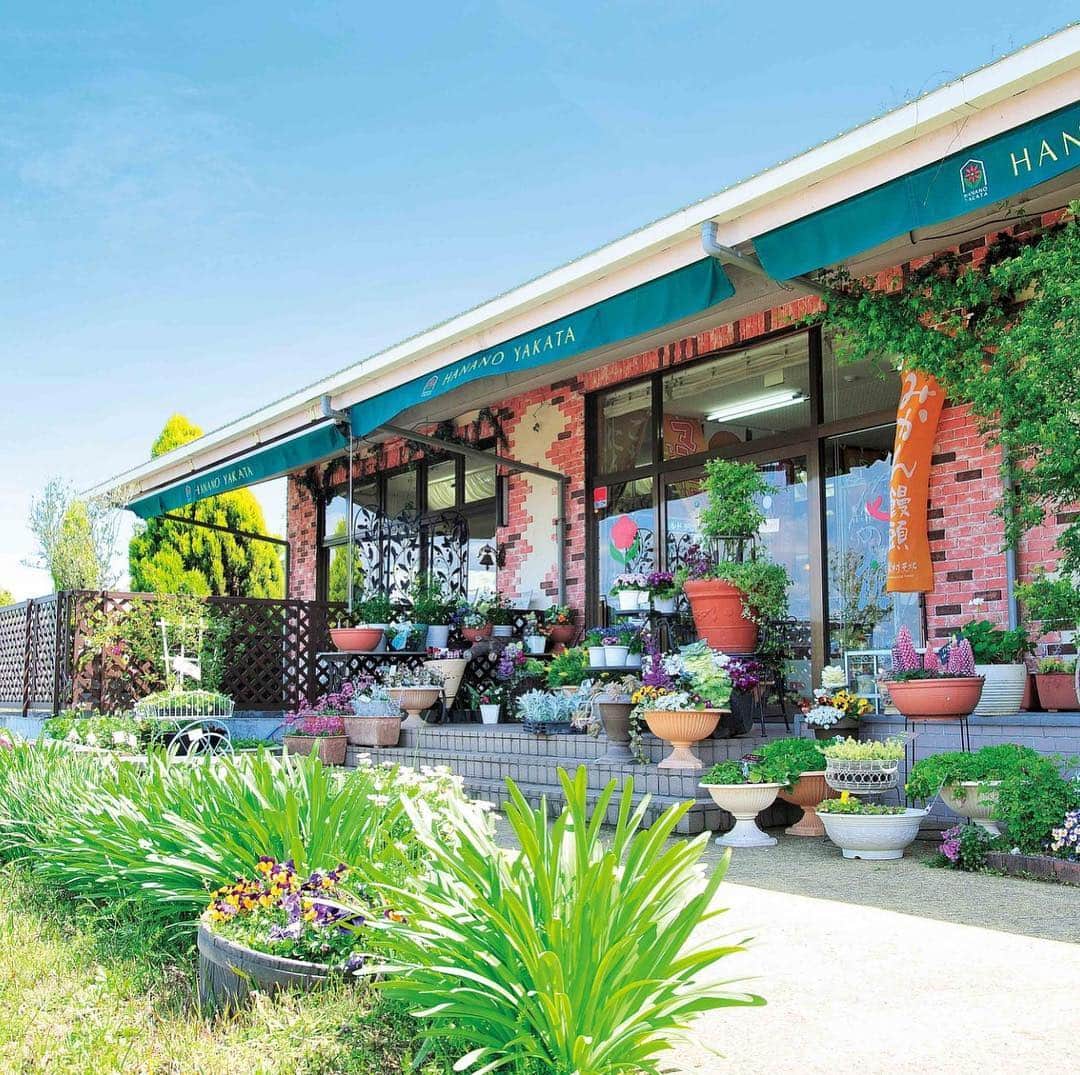 ナッセ熊本 編集部 のグルメインスタ