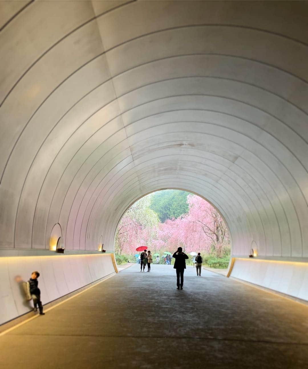 豊田麻子のグルメインスタ