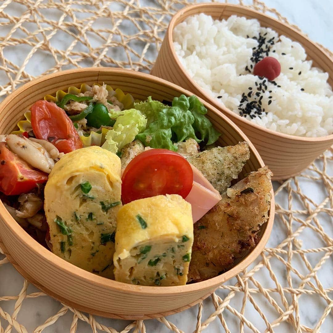 本田しおりのインスタグラム：「#今日のお弁当  #鶏胸肉のマヨパン粉揚げ#ピーマンとツナのめんつゆ炒め #しめじとトマトのトリュフバターソテー#ニラ入りだし巻き卵  #お弁当 #本田弁当 #旦那さん弁当」