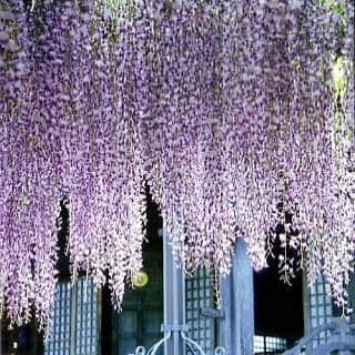 ヤマサ醤油株式会社のインスタグラム