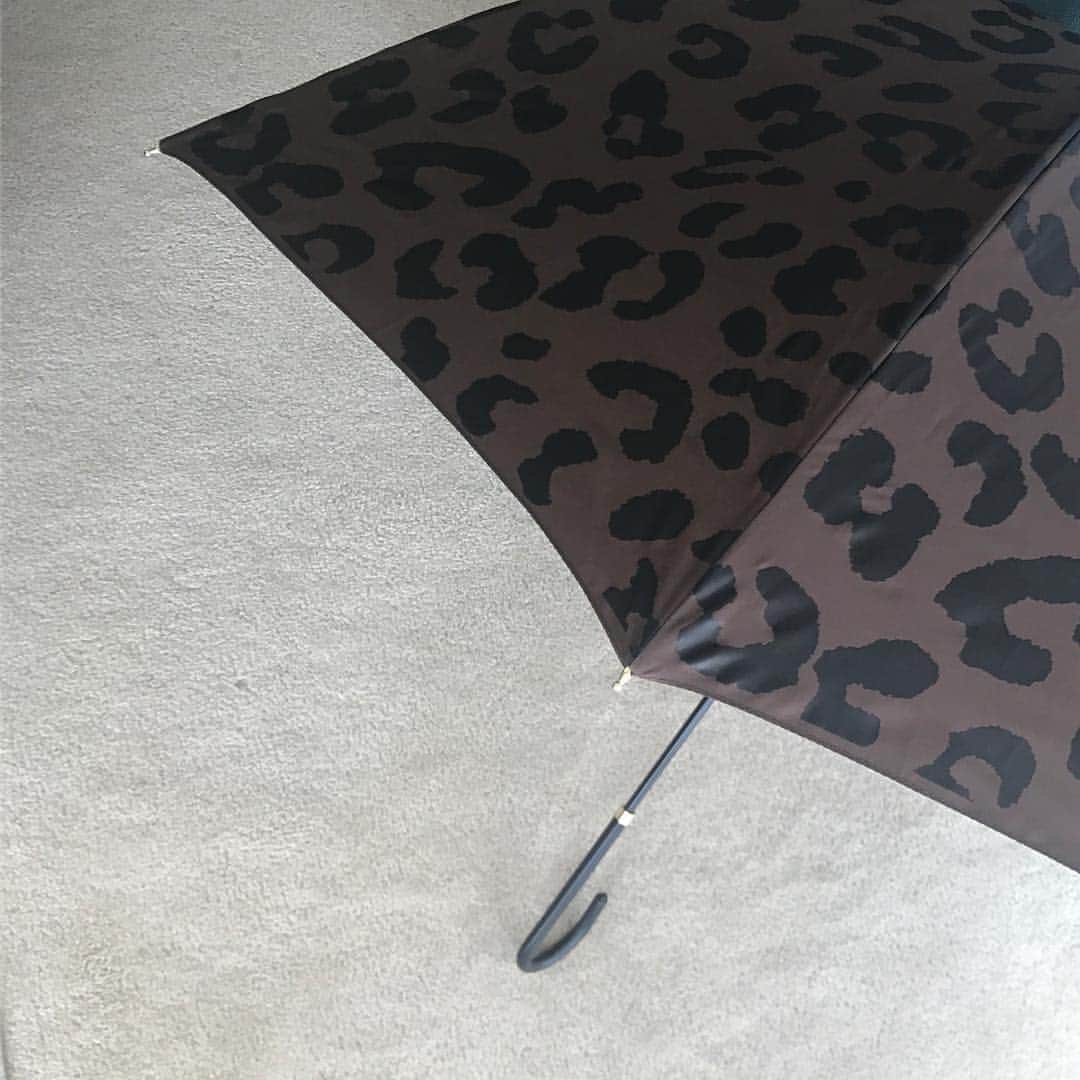 金子綾さんのインスタグラム写真 - (金子綾Instagram)「梅雨準備。  雨は嫌いだけど傘は好き🌂」4月23日 10時56分 - ayaaa0707