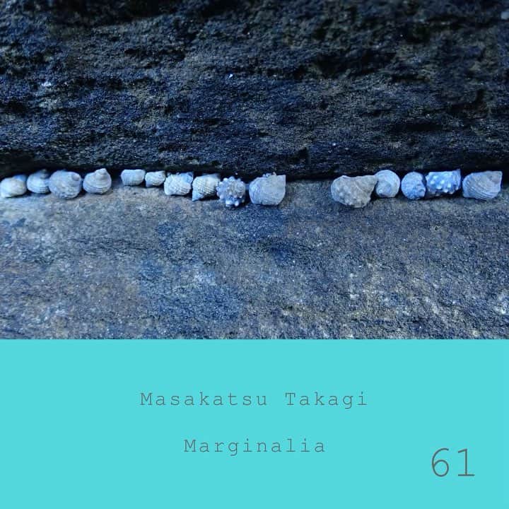 高木正勝のインスタグラム：「庭では、熊ん蜂たちがホバリング、賑やかです。愛の季節です。﻿ ﻿ マージナリア #61﻿ Marginalia #61﻿ ﻿ Bandcampにて視聴・販売しています。﻿ ﻿ https://takagimasakatsu.bandcamp.com﻿」