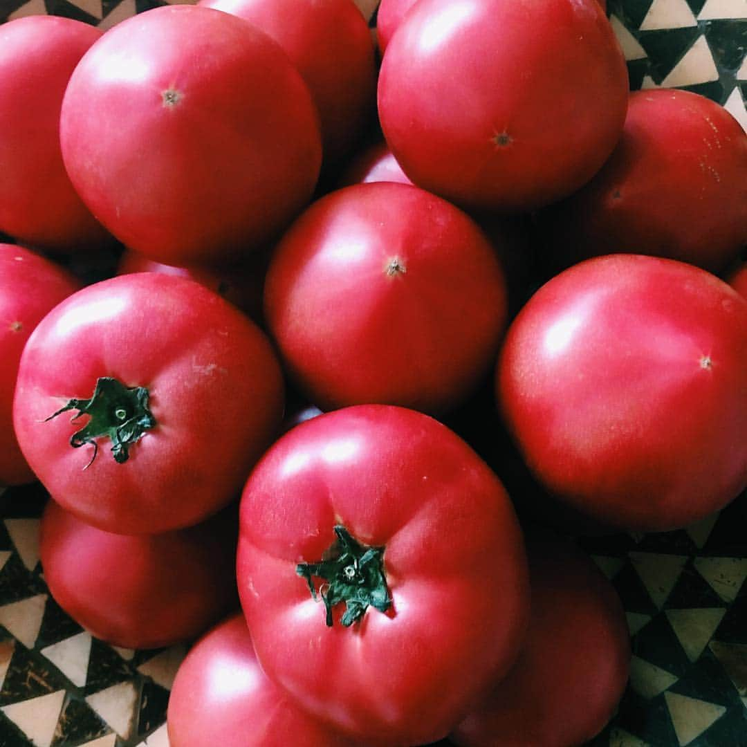 尾形沙耶香さんのインスタグラム写真 - (尾形沙耶香Instagram)「#tomatolover 🙋🏻‍♀️🍅 毎年送ってもらう千葉の#トマト  美味しい時期に、1年分食べ貯める💪」4月23日 11時02分 - sayakaogata