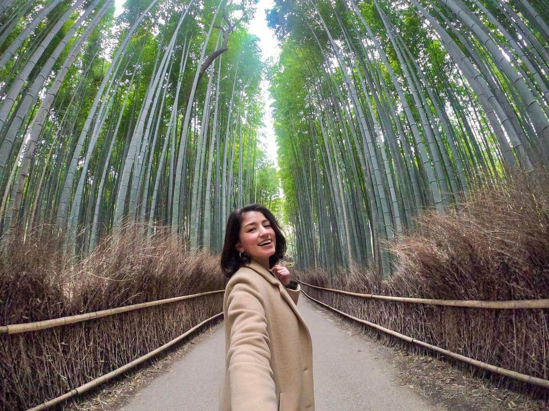 比嘉バービィさんのインスタグラム写真 - (比嘉バービィInstagram)「The famous Bamboo Forest in Kyoto! I’ve always wanted to come here! . . 仕事で京都に行った際に空いてる時間を使い1人観光。 混んでいる中での奇跡の1枚📷 . . . #静けさ を感じに #次は早朝に行きたい  #京都 #竹林の小径 #嵐山 #Kyoto #bambooforest  #Barby旅行記 #GoProBarby #GoPro #GoProJP #GoProHero7 #ゴープロのある生活」4月23日 11時03分 - barby724