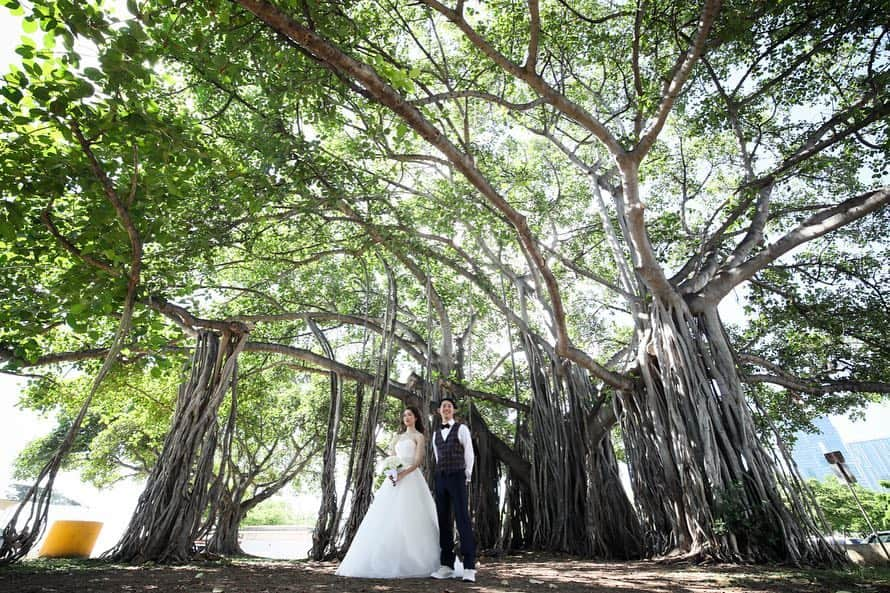 ゼクシィさんのインスタグラム写真 - (ゼクシィInstagram)「【憧れハワイで叶えた絶景ロケフォト】 . 海外婚で圧倒的な人気を誇るハワイ🌴💕 実際、現地でどんな式を挙げ、どんな風に過ごしたのか？ 2日間に渡り、先輩花嫁さんのハワイ婚を レポートしちゃいます🎵 . 今回はロケーションフォトをご紹介🌟 ハワイシアター前はダウンタウンフォトでは 欠かせないスポットですよね😌 道端だったり、どこで撮影しても絵になるのが ハワイのすごいところ☺️💓 . キラキラ輝く綺麗すぎるビーチはもちろん、 サンセットや、大きな木もハワイらしさ満点🌅🌴☀️ ふたりのありのままの雰囲気を引き出してくれたのは ハワイの大自然のおかげ？！ 日本にはない広大な景色や、透き通るくらい綺麗な海、 全部フォトに収めましょう📷❣️ . そのほか詳細はこちらをチェック♪ 【最新号 発売中！】 ゼクシィ海外ウエディング 2019 Summer&Autumn 「みんな、どう過ごした？リアル☆ハワイ婚Report」より . +♥+:;;;:+♥+:;;;:+♥+:;;;:+♥+:;;;:+♥+:;;;:+♥ . プロポーズから結婚式まで素敵なお写真募集中！ . ゼクシィ公式アカウントでお写真を紹介してみませんか？ 【#ゼクシィ2019】 を付けて投稿してください👰💐 . +♥+:;;;:+♥+:;;;:+♥+:;;;:+♥+:;;;:+♥+:;;;:+♥ . ▼花嫁さんダウンロード数No.1 ゼクシィアプリはURLから💎 @zexyrecruit . #リゾ婚#ハワイ婚#ハワイ挙式#ハワイ前撮り#ハワイ後撮り#ハワイウェディング#海外婚 _ #海外挙式#ダウンタウンフォト#ハワイフォトツアー#海外前撮り#海外後撮り#ハネムーンフォト#ハワイウェディングフォト#海外フォトツアー#カイルアビーチ _ #ワイマナロビーチ#ハワイシアター#ビーチフォト #海外ウェディングフォト#全国のプレ花嫁さんと繋がりたい#日本中のプレ花嫁さんと繋がりたい#海外挙式準備#海外プレ花嫁#ハワイハネムーン#リゾート挙式 _ #ゼクシィ#ちーむゼクシィ#プロポーズされたらゼクシィ」4月23日 11時52分 - zexyrecruit