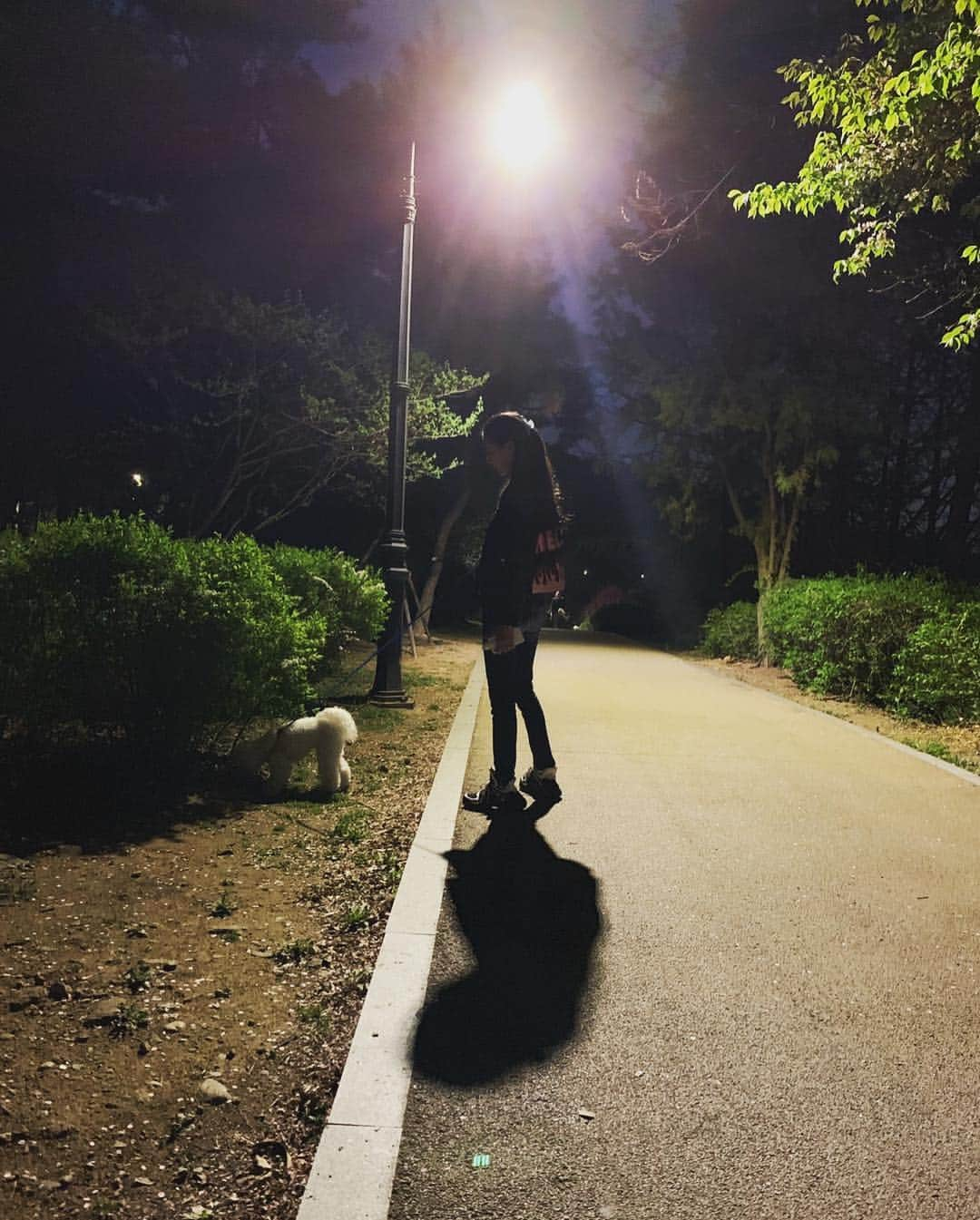 和央ようかさんのインスタグラム写真 - (和央ようかInstagram)「Walking in the park🚶‍♀️with lovely 🐕 Mong Chan 🐶  and then Korean food 🥘 yammy ❤️Thanks @sophy_jiwon_kim  #ソウルにて #ワンちゃんのお散歩 #そして #韓国の家庭料理 #何気ない日常 が #温かく心地よい夜 #感謝🙏 #imiss #どんどん🐶 #takakoworldstylin🌎 #seoul」4月23日 11時58分 - yokawao0215