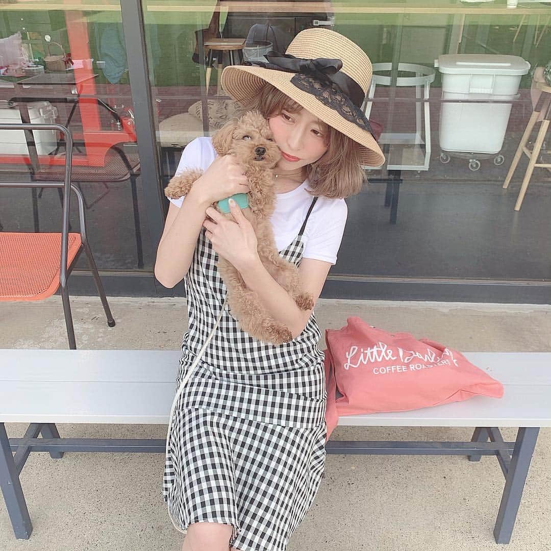 のインスタグラム：「🐶⠀ ⠀ 可愛いわんこに遭遇♡ その名もフラちゃん🐶 ペットokのカフェもある外苑前の広ーい場所🎠 大人しくて懐っこくて可愛かった〜𓂂𓏸 将来トイプードル飼いたい欲が更に増した🥰⠀ ⠀ 可愛い帽子はことちゃん @kotohonda に借りました♡ ワンピースは @millea_official_ 𓍯 ギンガムチェックが似合う季節♡⠀ ⠀ #ギンガムチェック#milleapic」