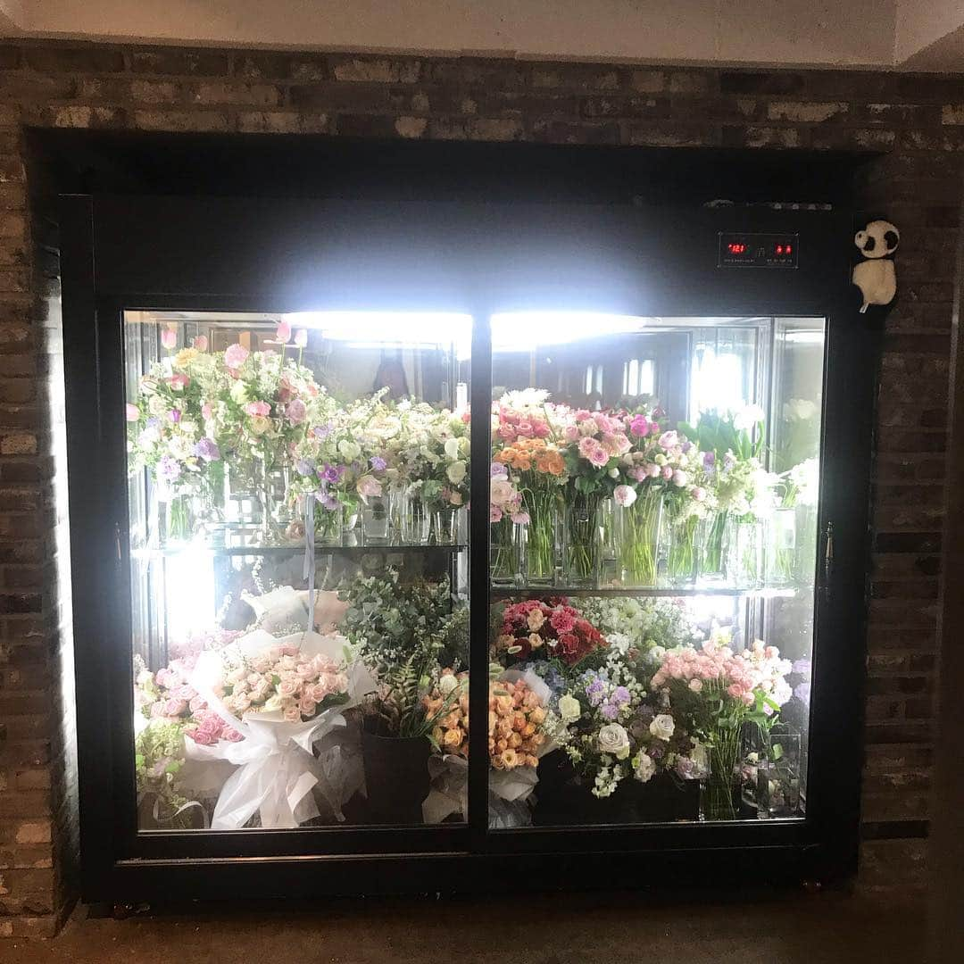 플로리스트 이주연 florist Lee Ju Yeonさんのインスタグラム写真 - (플로리스트 이주연 florist Lee Ju YeonInstagram)「. (삐뚤어진 꽃냉장고 사진이지만 많은 좋아요 감사합니다  냉장고는 판매 완료 되었습니다💛) . 안녕하세요 바네스 플라워 입니당 💛 샾이전으로 1년 8개월정도 사용한 꽃냉장고를 저렴한 가격에 판매 하려고 합니다 :) 사이즈 가로 2200 세로 2000 깊이 800 사이즈가 꾀 큰편이구 많은양의 꽃이 들어가는 사이즈에요 ^^ 관심 있으신분은 다이렉트나 카톡 ID vaness52 로 문의 주시면 안내 해드릴게요 💛  4월 24일 수요일에 샾이전하오니 방문 예정이신분들은 강남구 역삼동 608-16번지로 오시면 됩니다 :)」4月23日 12時28分 - vanessflower