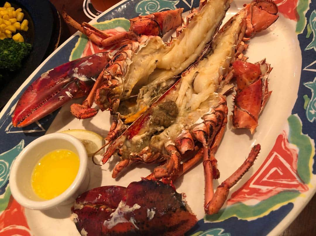 佐々木舞夕さんのインスタグラム写真 - (佐々木舞夕Instagram)「__食べ物記録🦞  RED  LOBSTER  初ロブスター🦞 ザリガニだと思ってたけど、てかザリガニでもいいって思うくらい美味しかった✨🥺 __  #レッドロブスター#REDLOBSTER#ロブスター#🦞#食べ物記録#foodlog#instafood#グルメ#東京#東京グルメ#エビ好き」4月23日 12時24分 - truffe_m_123