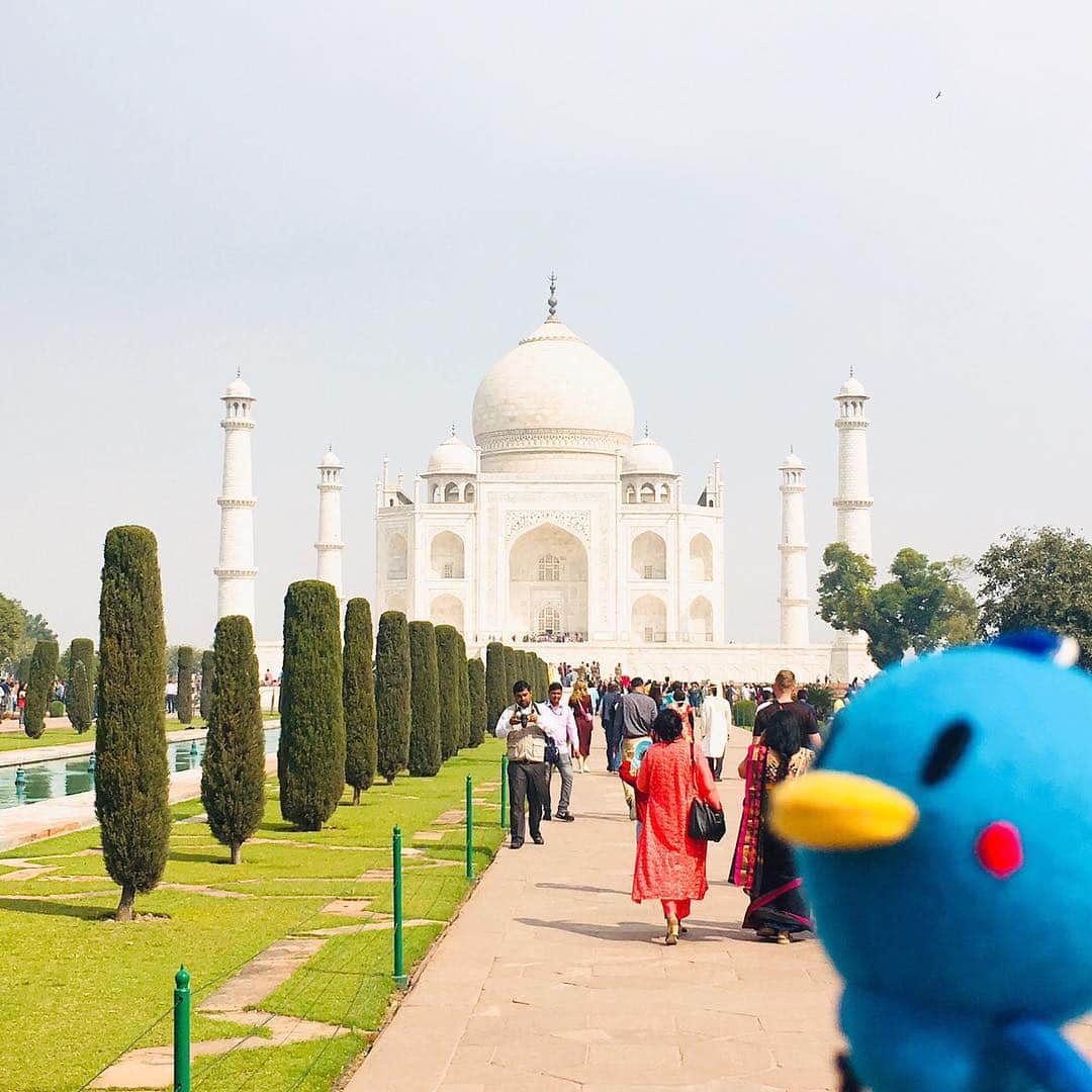 ベンチャーリパブリックのインスタグラム：「今回は、少し前に旅行休暇で「インド&オマーン」へ行ってきた、女性Webディレクターの旅をご紹介いたします・・！ * ✈︎・✈︎・✈︎・✈︎・✈︎・✈︎・✈︎ ・✈︎・✈︎ ・✈︎・✈︎ 旅行休暇をいただいてインドとオマーンに行ってきました！ 3月のインドは本格的に暑くなる前で、冬のほこりも少し落ち着いて、とても良い時期でした。 デリーの市内観光とタージ・マハル観光のオプショナルツアーを利用して、安全快適にインドを感じてきました。 中東オマーンは、アラジンの世界！エキゾチックな景色を楽しんできました。 中でもスルタン・カブース・グランド・モスクの荘厳さは圧巻です…！ これまで東南アジアばかり行っていましたが、旅行休暇を利用して遠出して、とても良い体験ができました！ ✈︎・✈︎・✈︎・✈︎・✈︎・✈︎・✈︎ ・✈︎・✈︎ ・✈︎・✈︎ ※旅行休暇のルールは、旅行先に7営業日連続でいること。土日を含めると最短でも9日間の旅です。 -- #ベンチャーリパブリック #西麻布 #バケーション #旅行休暇 #7日間の旅 #旅行 #インド#タージマハル #オマーン #venturerepublic #linetraveljp #travel #nishiazabu #india #tajmahal #oman #vacation #linetravel  #linetraveljp」