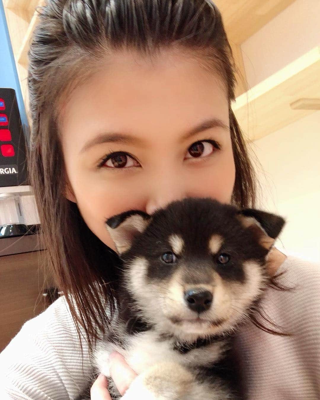 源崎トモエのインスタグラム：「は～🥺ほんと充電出来た🥺 天使ちゃんたちありがとう🥺❤ 思い出して頑張れそう🥺 . #豆柴#豆柴子犬#黒豆柴  #赤ちゃん#癒し#可愛い #わんこ#ドッグカフェ#犬カフェ #犬好き #犬好きな人と繋がりたい」
